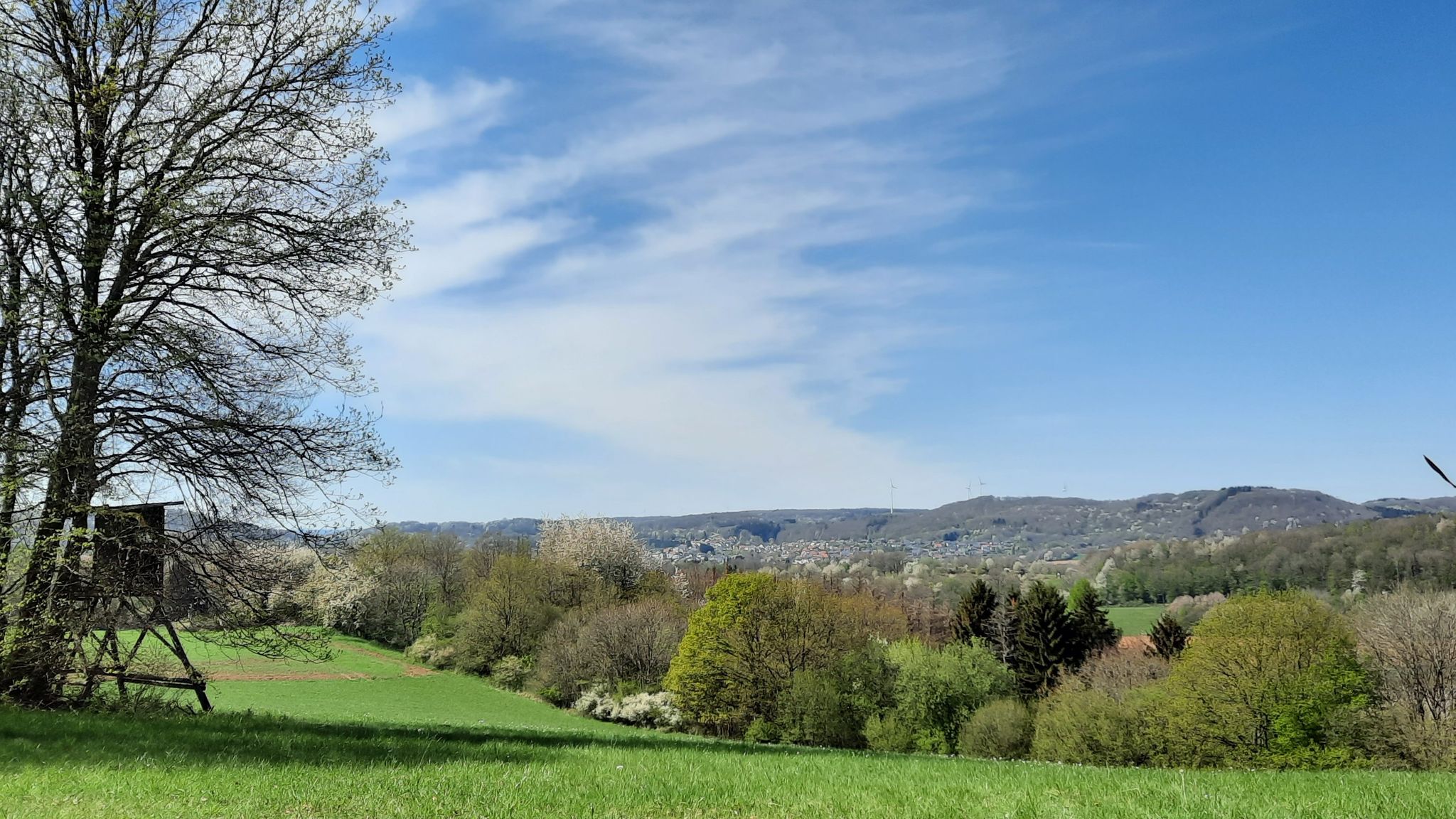 Aussicht Richtung Hasborn