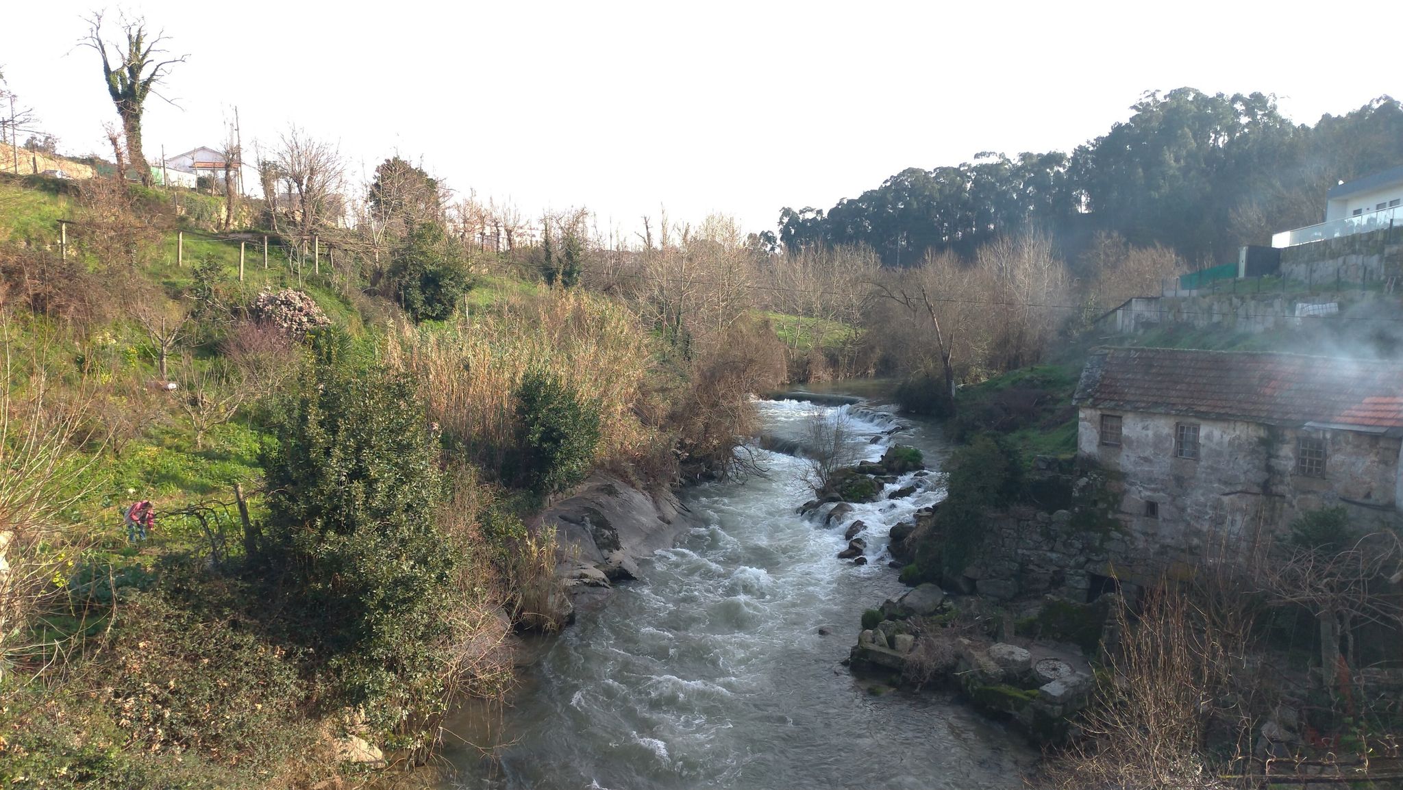 ponte