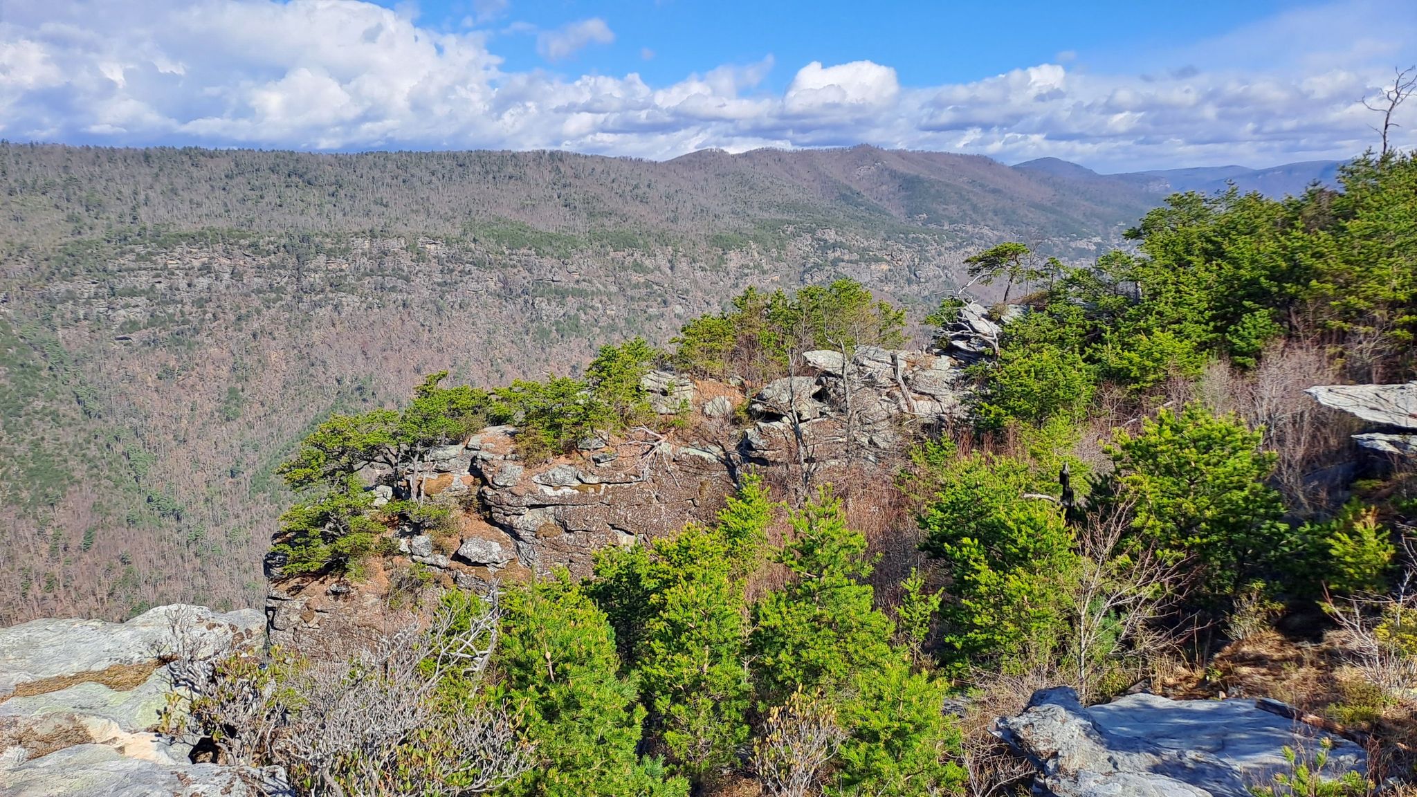 Rocky outcrop with green shrubs overlooking a wide, forested valley. - Shortoff Mountain Trail