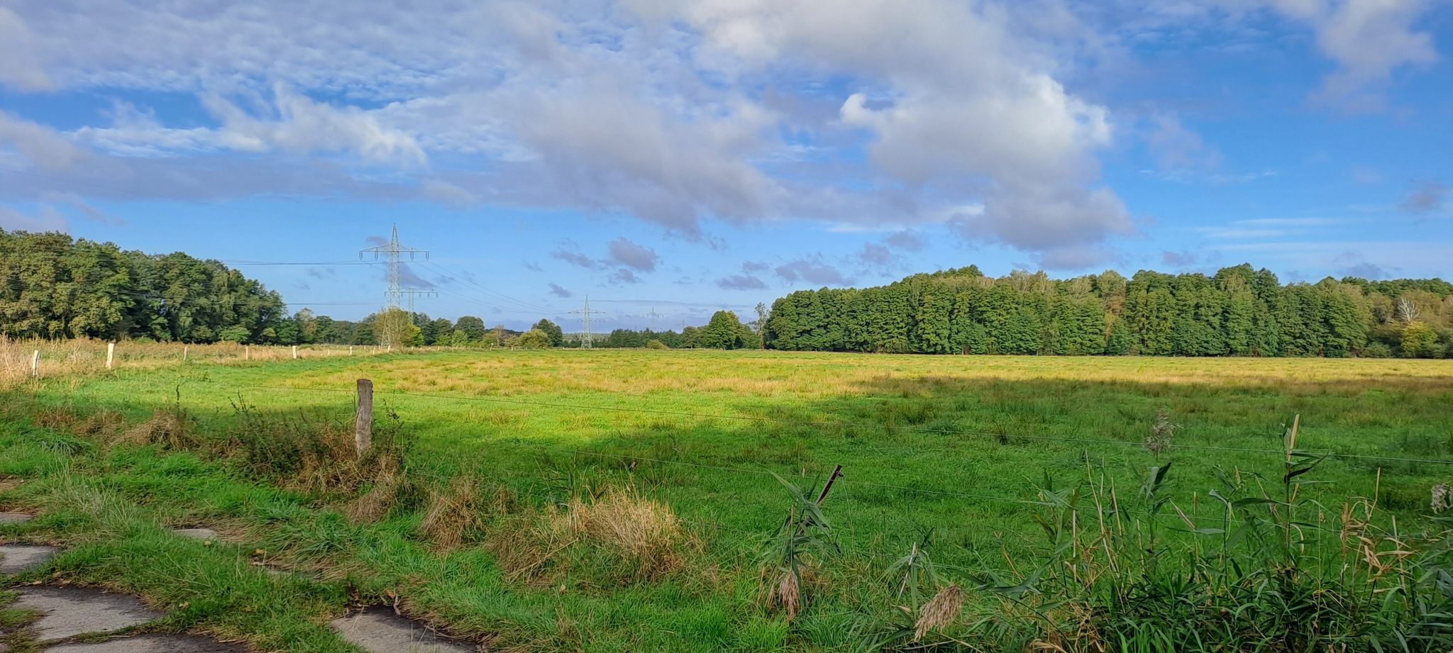 Feld 2