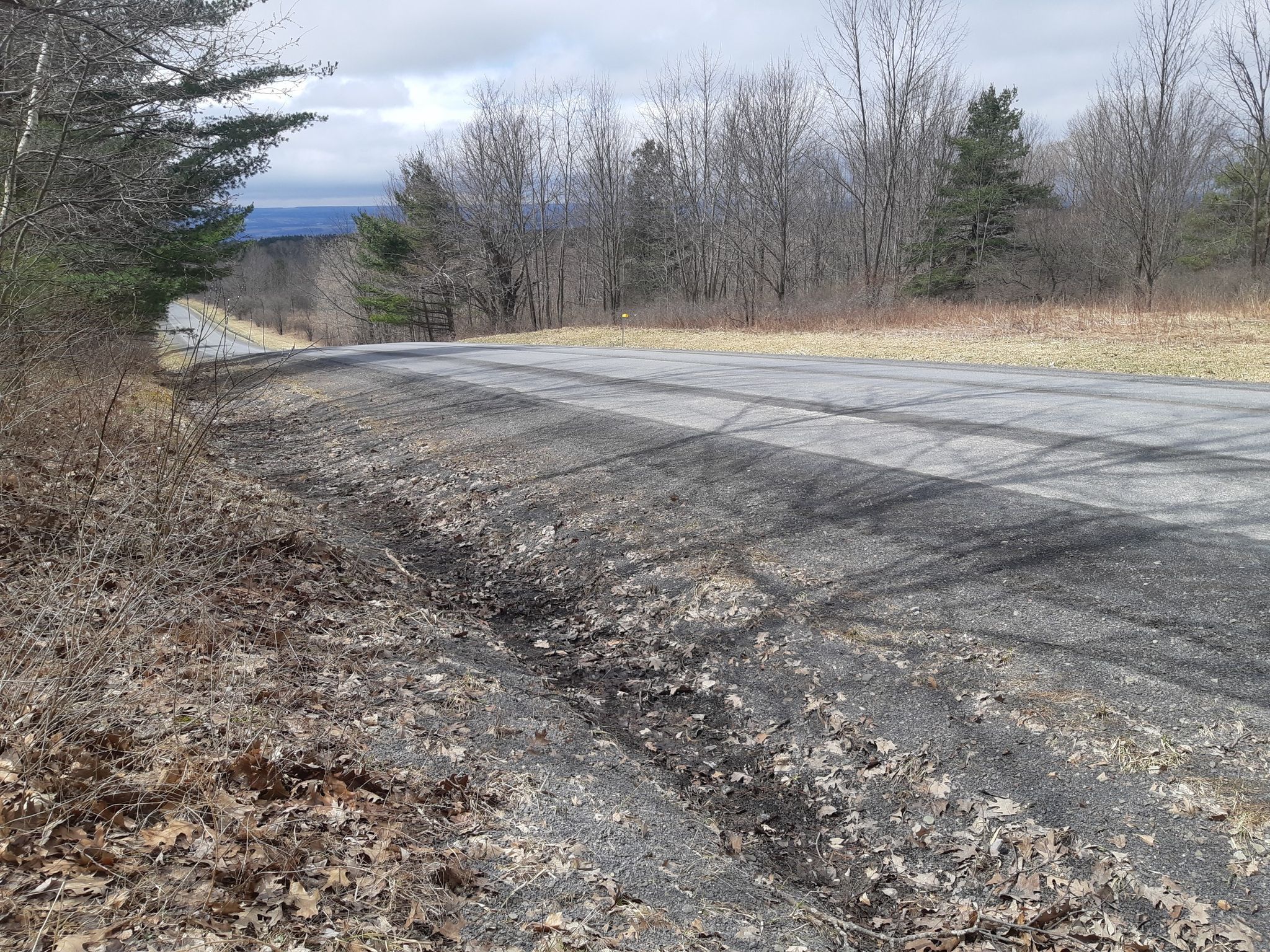 A paved road curves through a landscape of bare trees under an overcast sky. - Bike loop from Ballard Pond