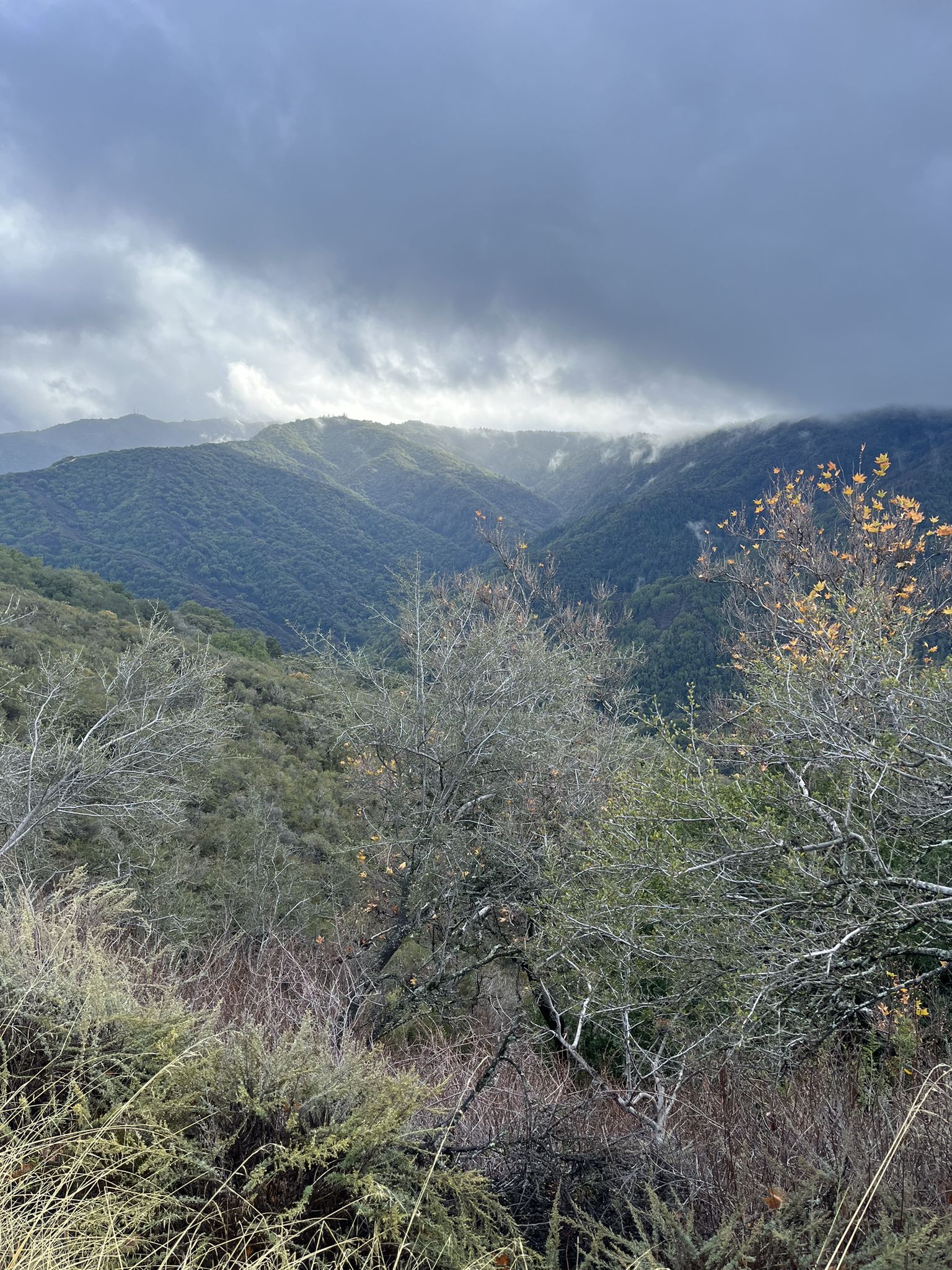 Mountainous landscape with dense trees, sun breaking through cloudy sky. - Bald Mountain Trail