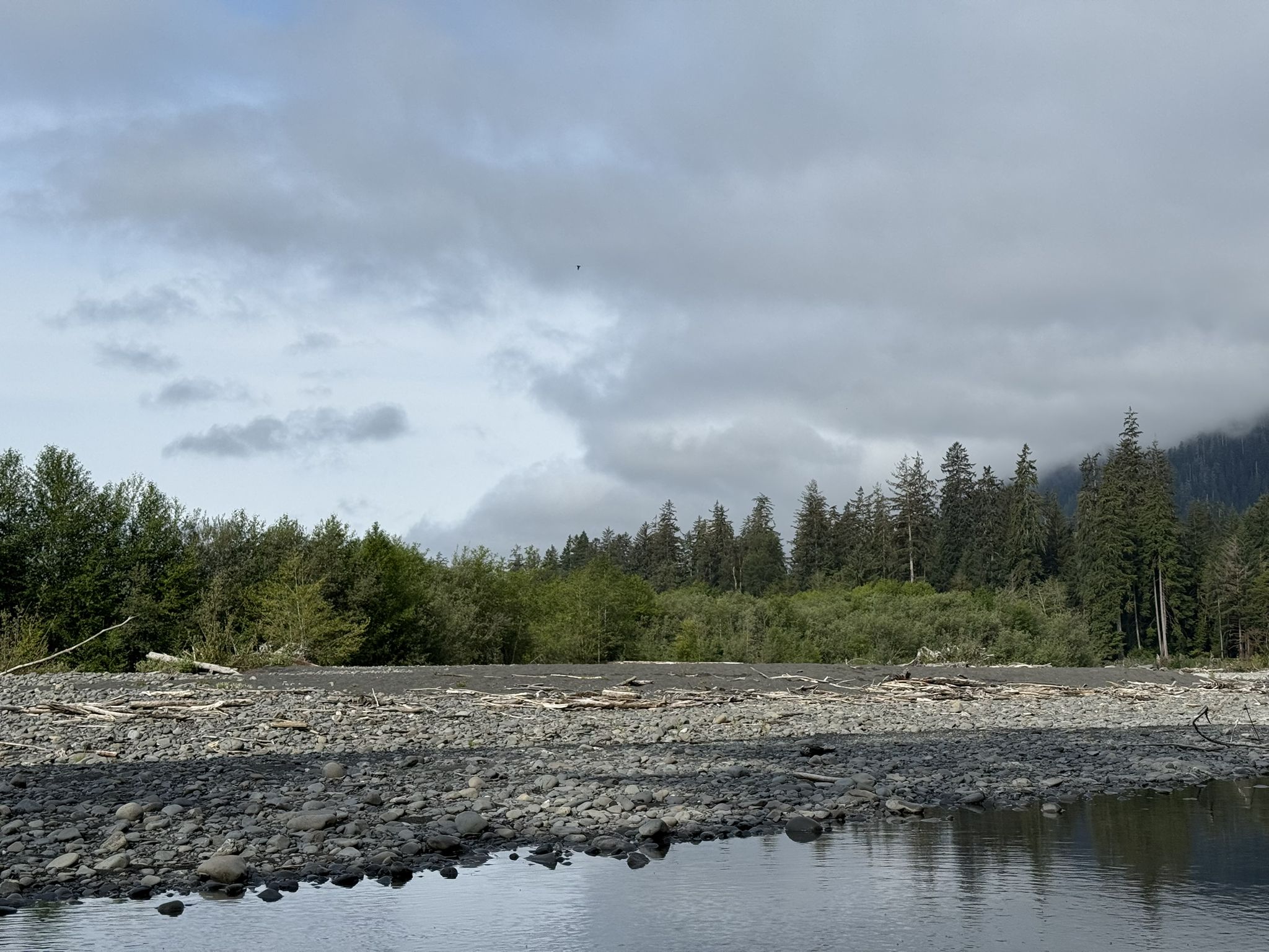 Overcast sky above a rocky riverbed and dense forest. - Hoh River Trail to Mineral Creek Falls
