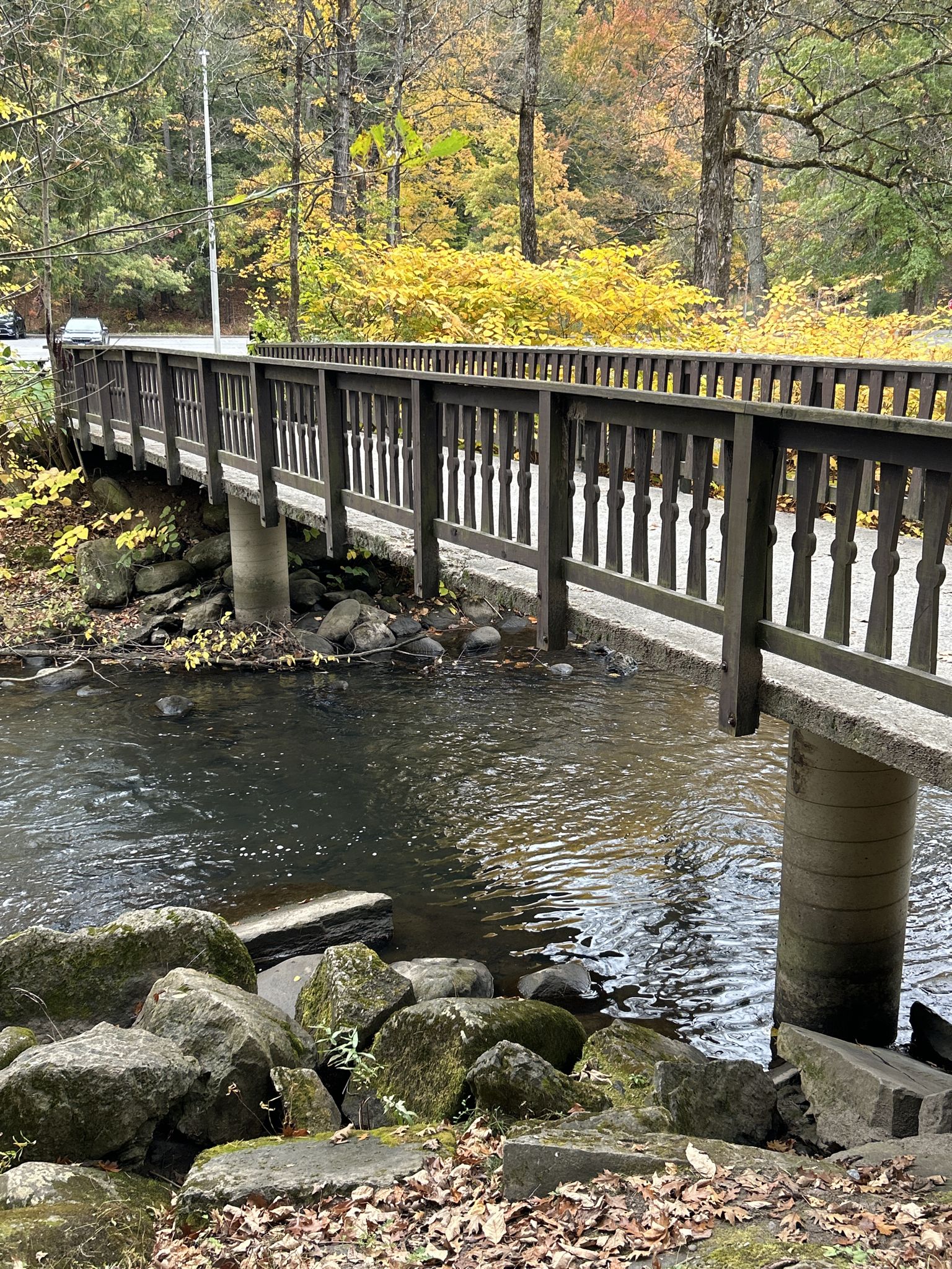 Wooden bridge over a river with rocks, surrounded by autumn trees. - The Geyser Island Spouter – Orenda Spring loop from Saratoga Performing Arts Center