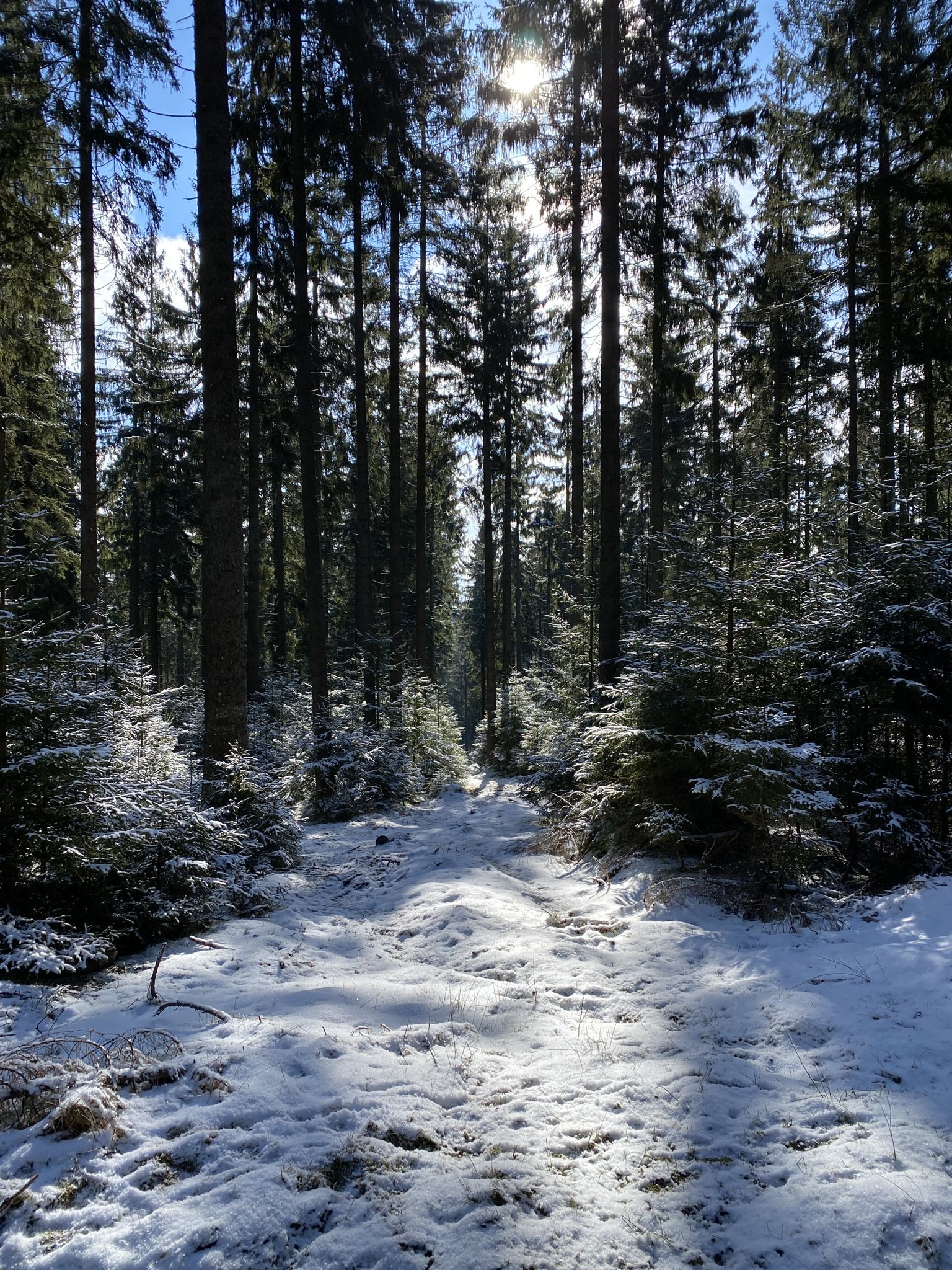 Traumhafte Wegstrecke