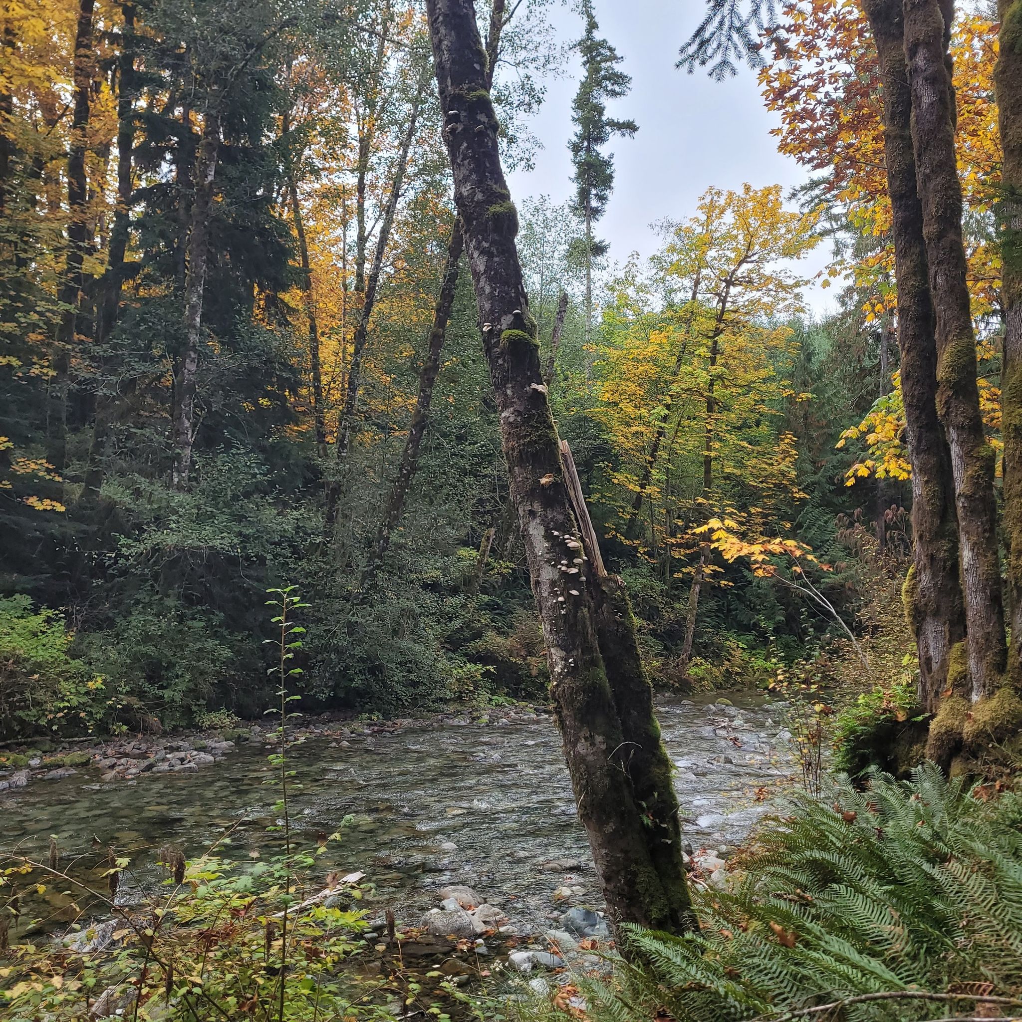 China Creek
