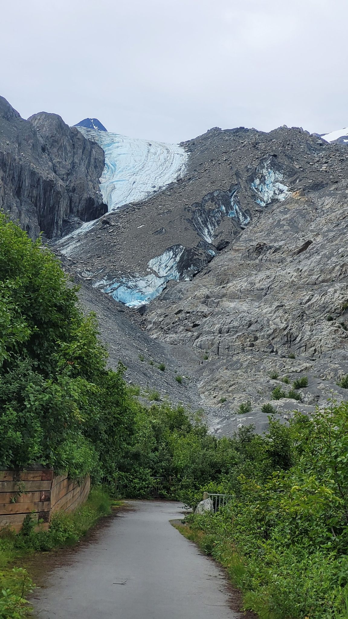 Paved path through green trees leading to a blue glacier in a rocky valley. - Worthington Glacier Ridge Trail