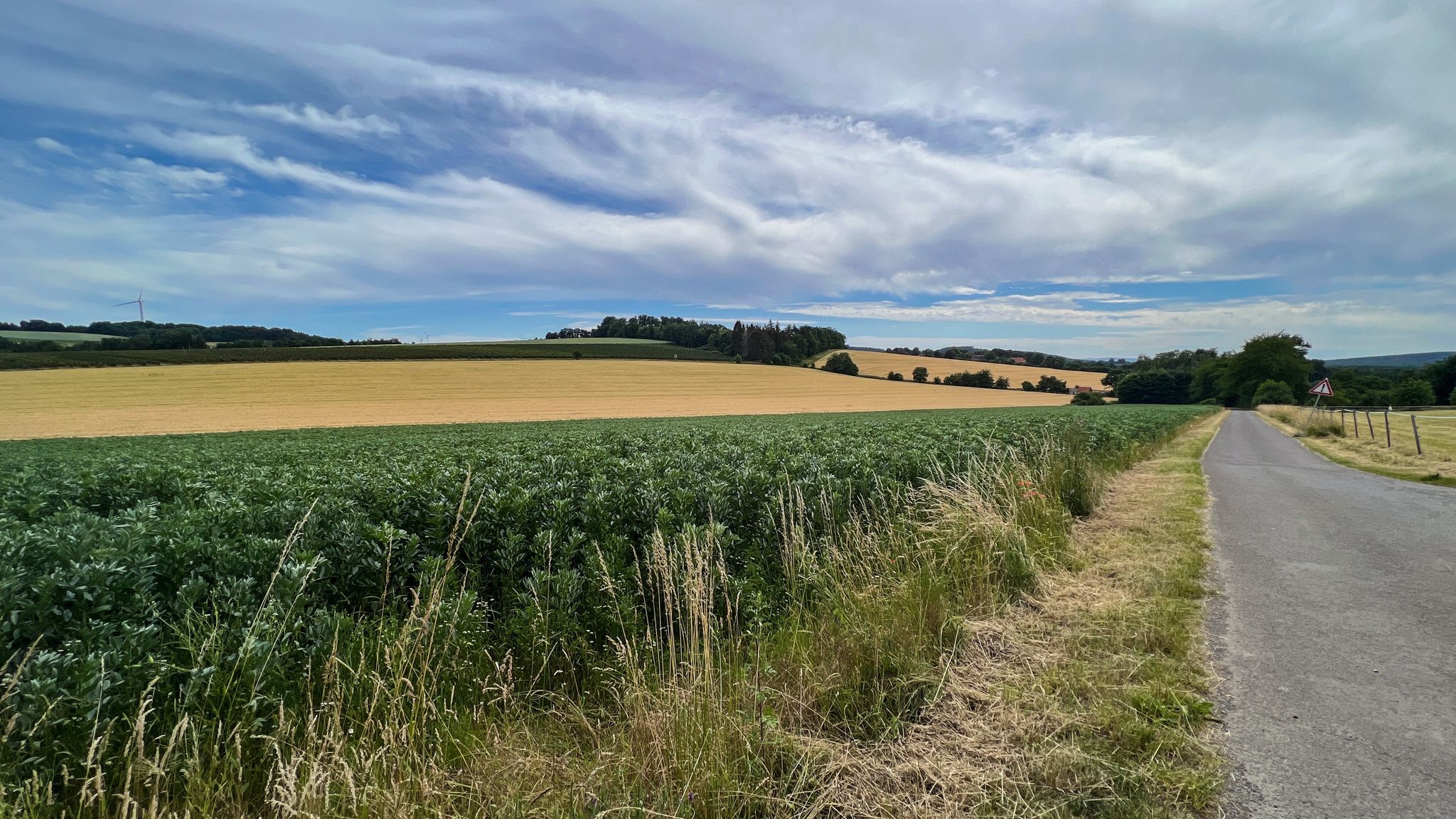 Aussicht auf den Solterberg