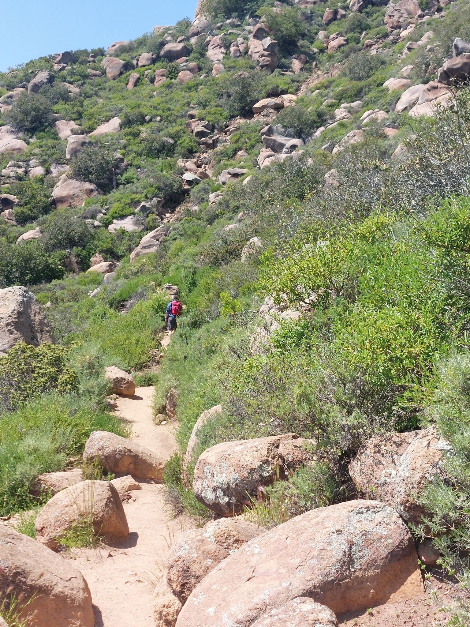 Person hiking up a steep, rocky trail on a sunny day. - Bishop Peak and Felsman Loop Trail