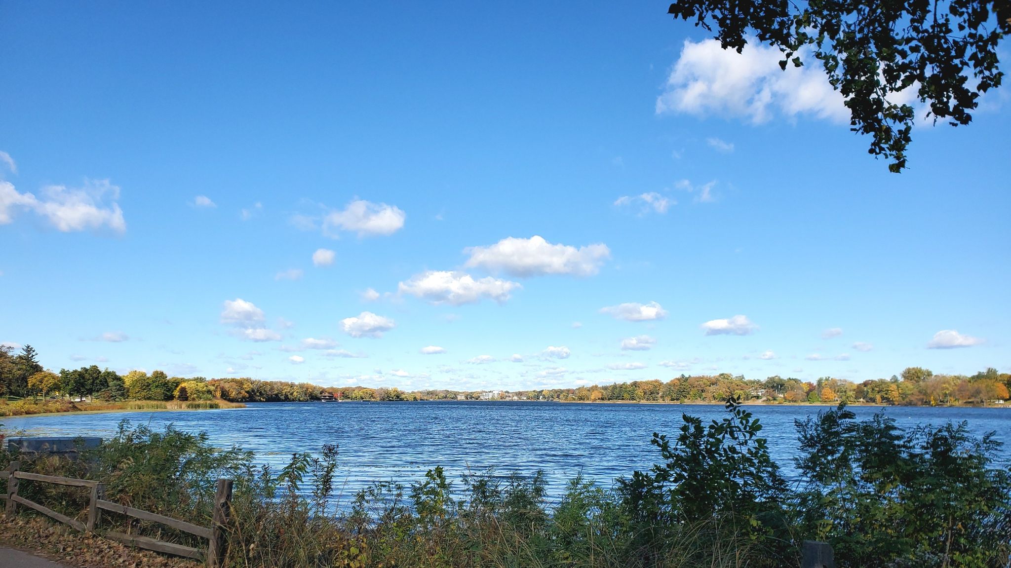 Wide lake surrounded by distant trees under a bright blue sky. - Lake Phalen Loop