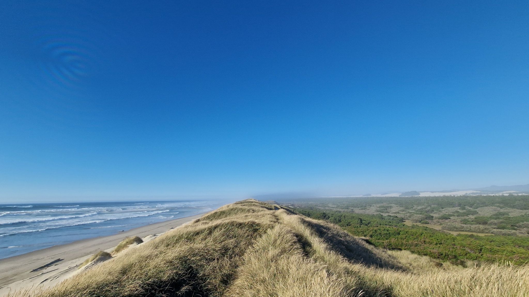 Sunny panoramic view of grassy dunes, ocean waves, and distant forest. - Siltcoos River Paddle Route