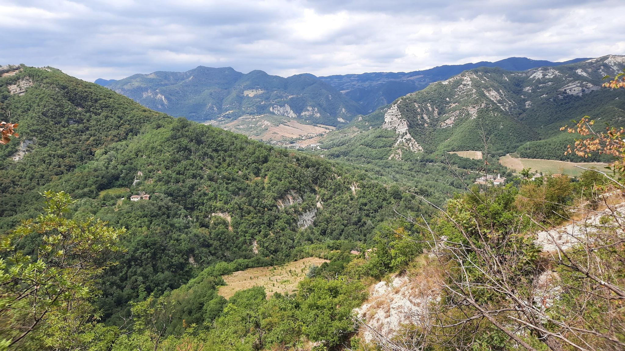 panorama