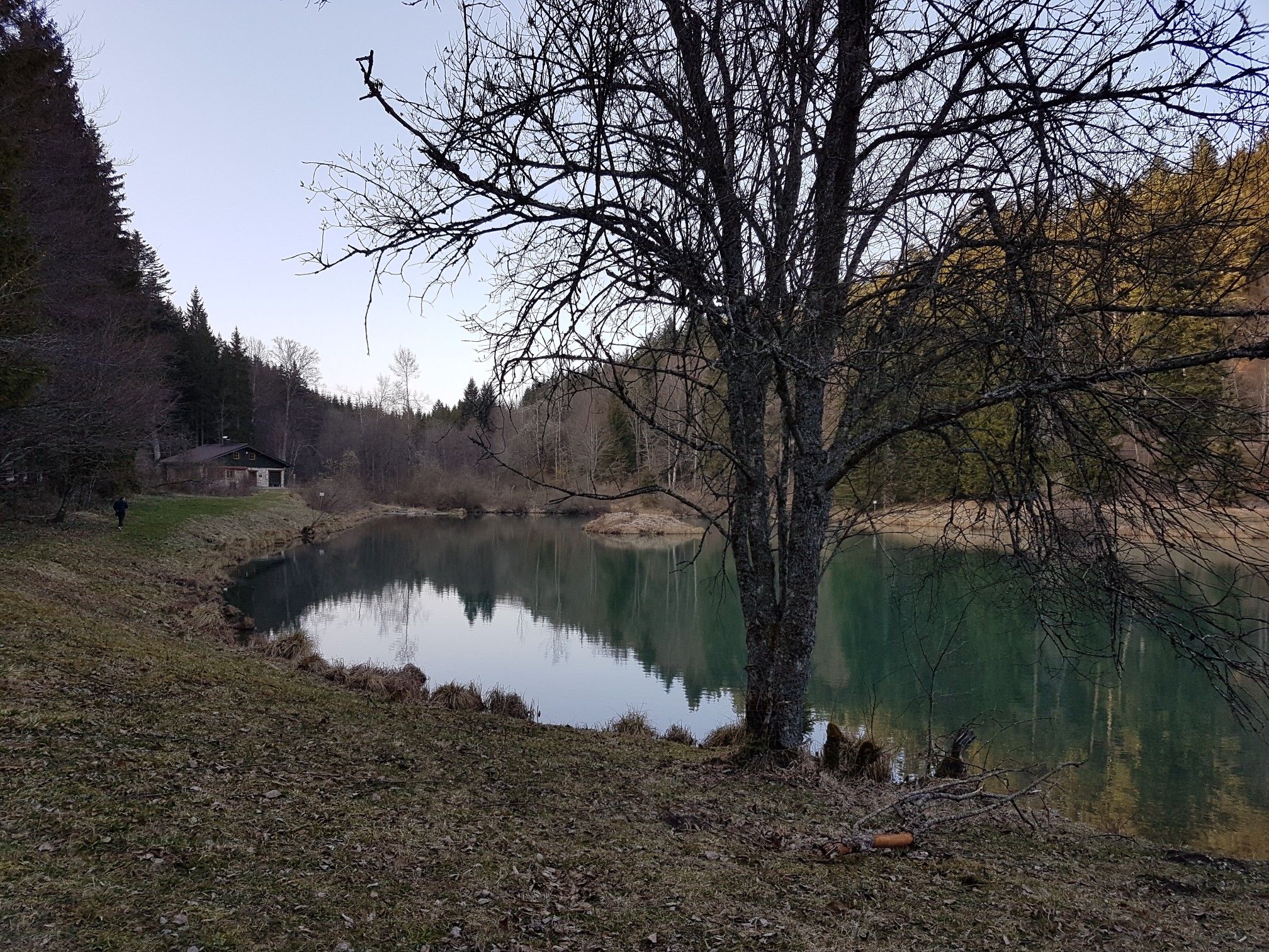 Harrassee