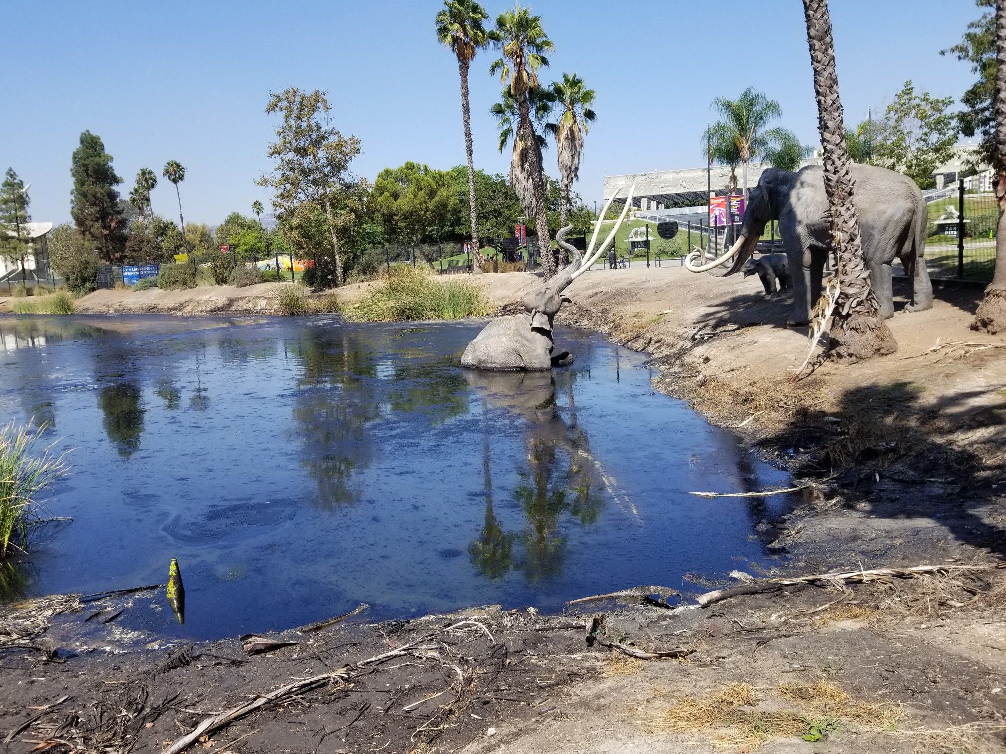 Elephant statues in and beside a dark pond, surrounded by palm trees. - Hancock Park and La Brea Tar Pits Loop