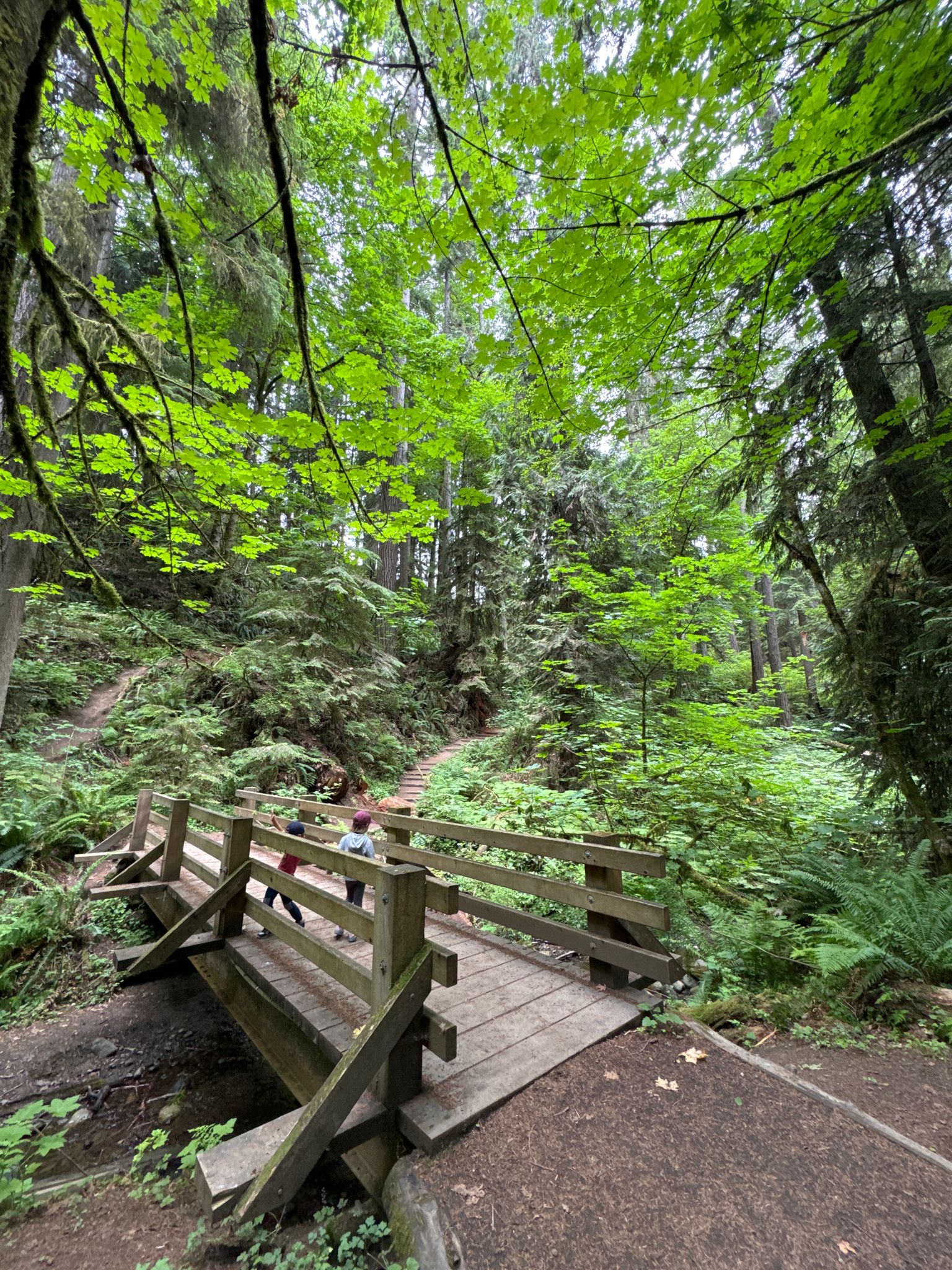 Two people cross a wooden bridge in a lush, green, overcast forest. - Peabody Creek Trail