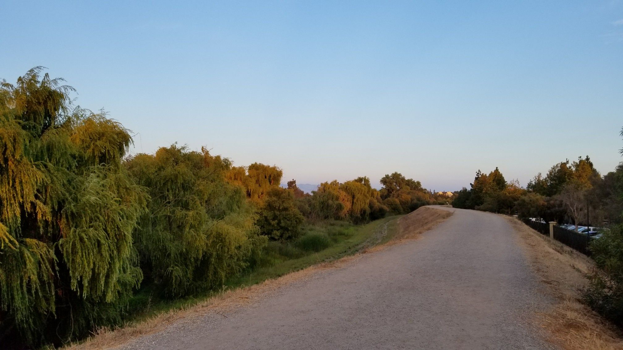 Wide dirt path with lush green trees on the left under a clear blue sky. - Guadalupe River Trail