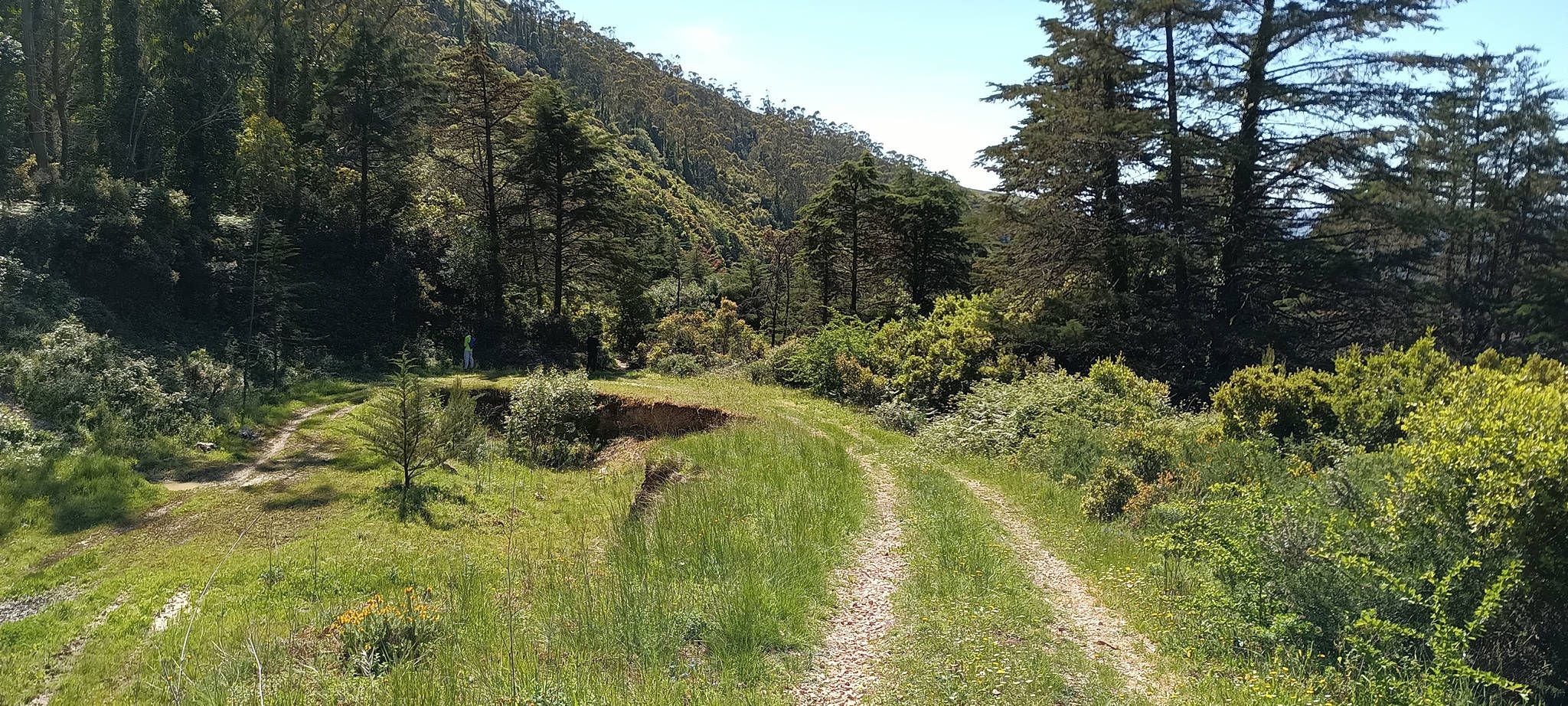 Trilho do "Bosque Encantado" - Montejunto