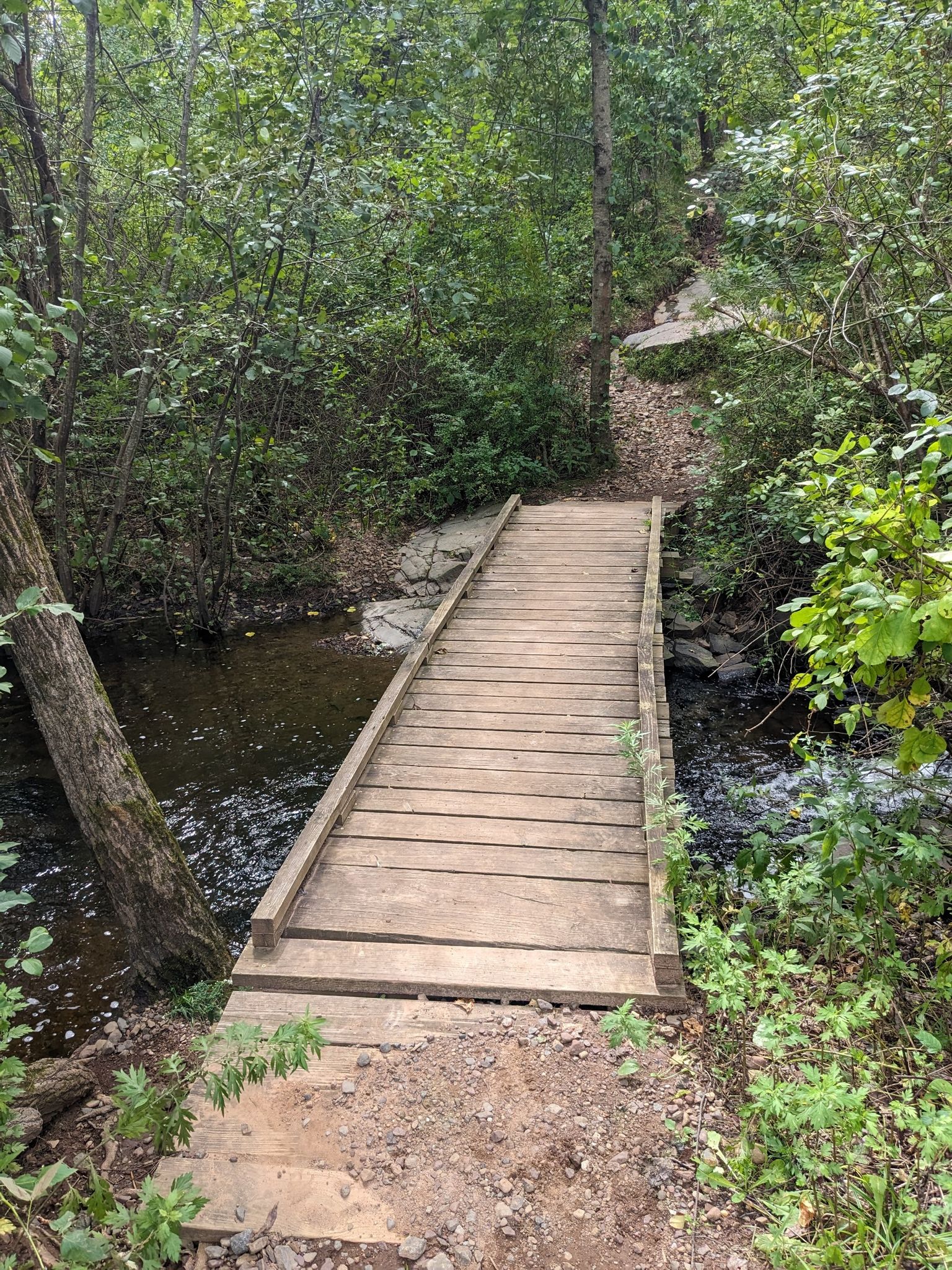 Wooden footbridge crosses a small stream in a lush, green forest. - Killkenny Rock and Metacomet Reservoir Loop