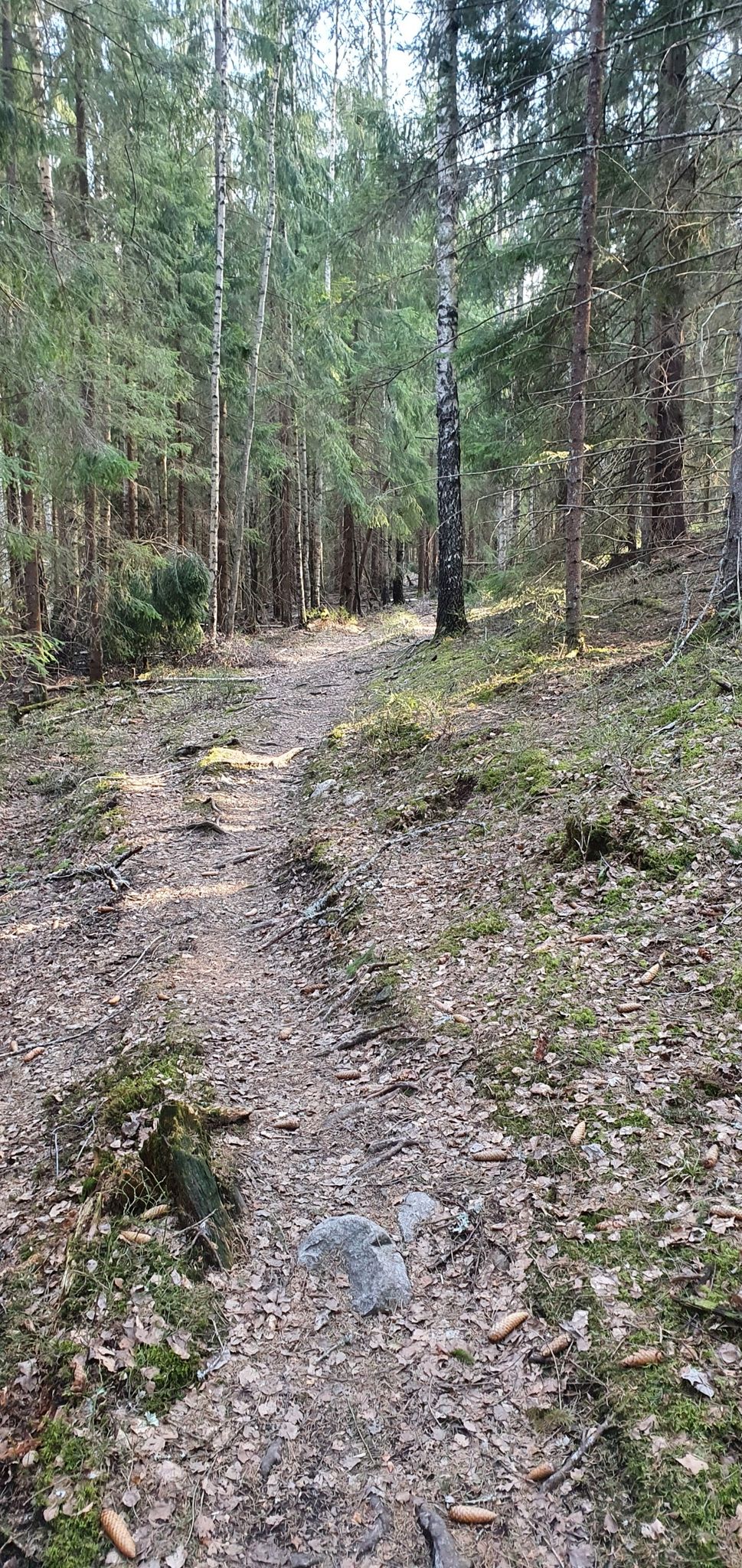 Nice trail