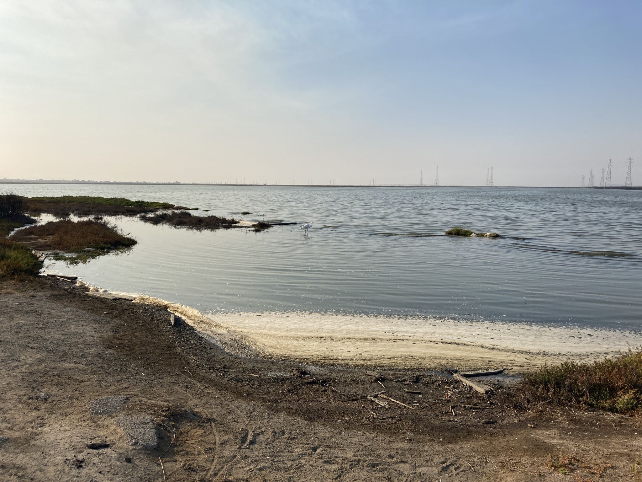 Calm water meeting a sandy, muddy shore under a hazy sky. - San Francisco Bay Trail – Moffett Boulevard Bike Bridge loop from Shoreline Amphitheatre