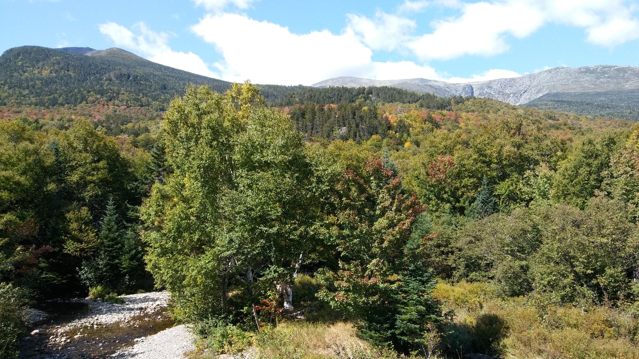 Lush green and autumn-colored forest with mountains under a bright sky. - Evan's Notch loop