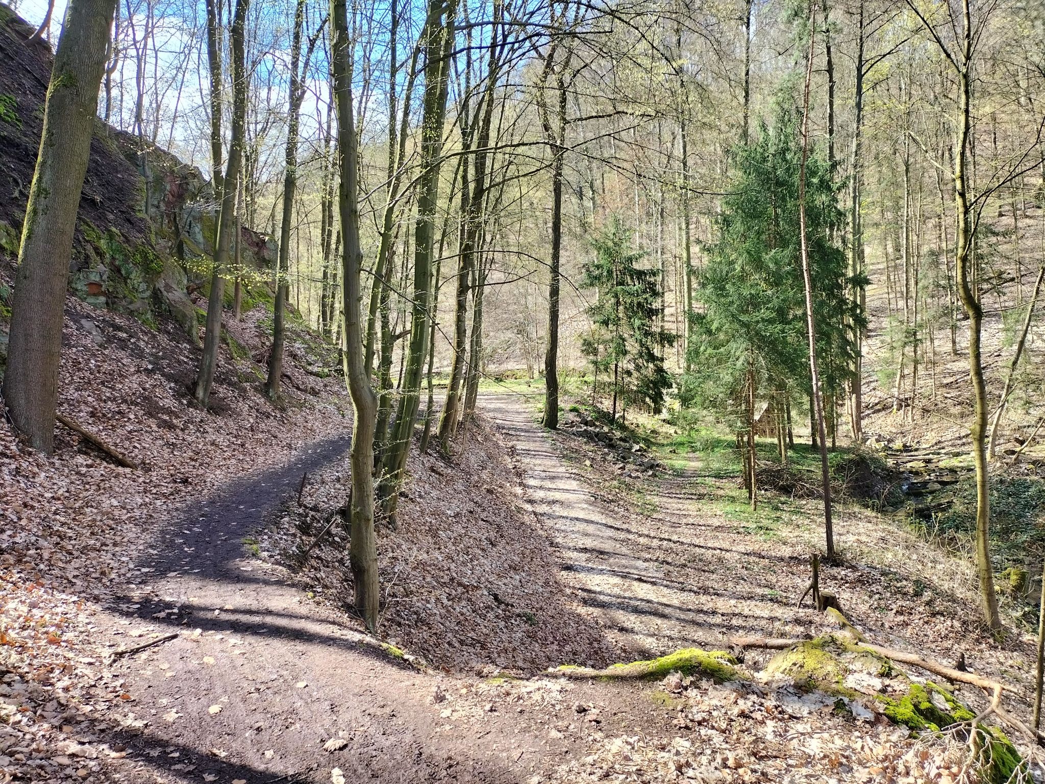 Tännichtgrund