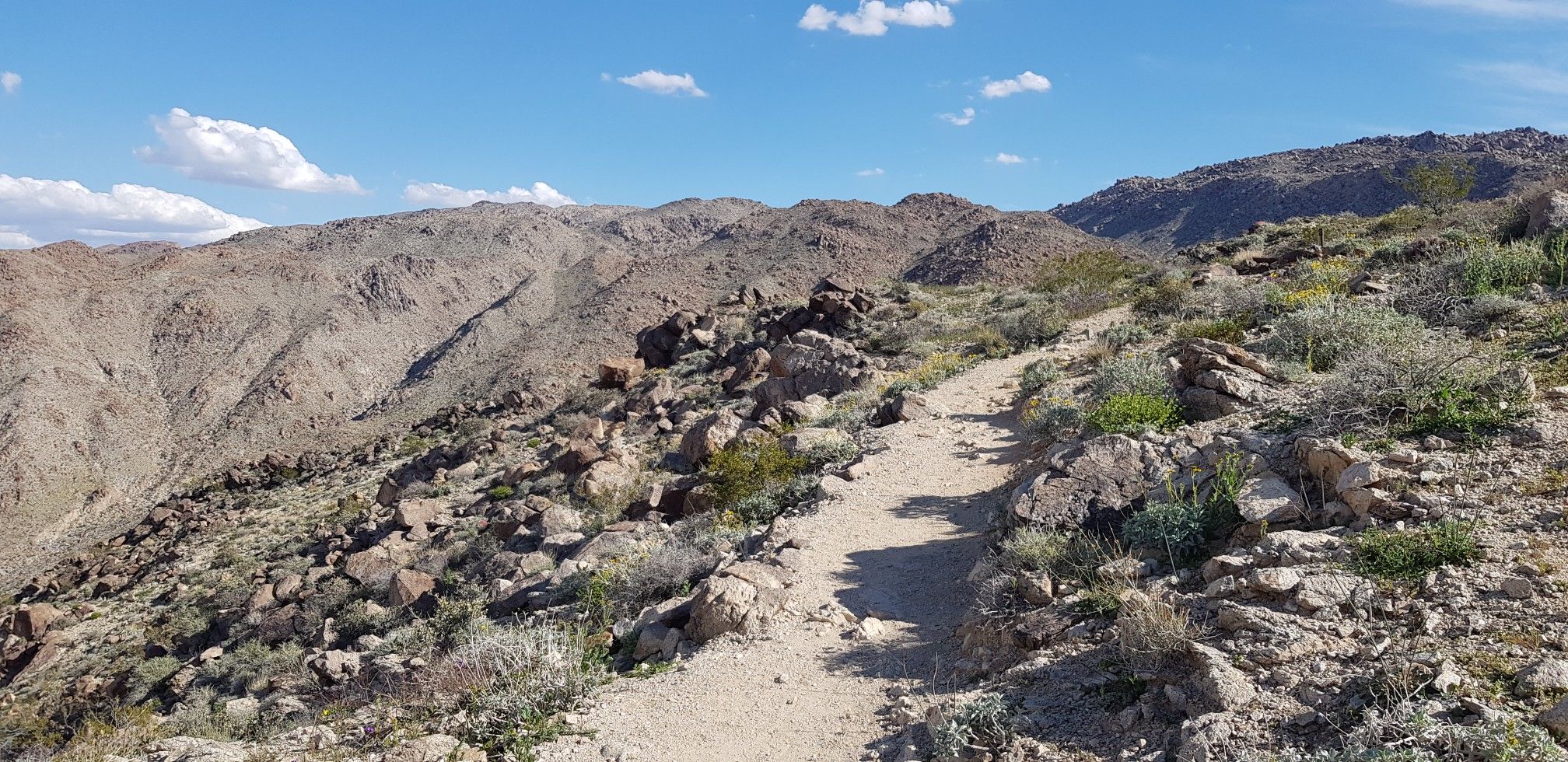 Desert trail winding through rocky, arid mountains under a blue sky. - Fortynine Palms Oasis Trail