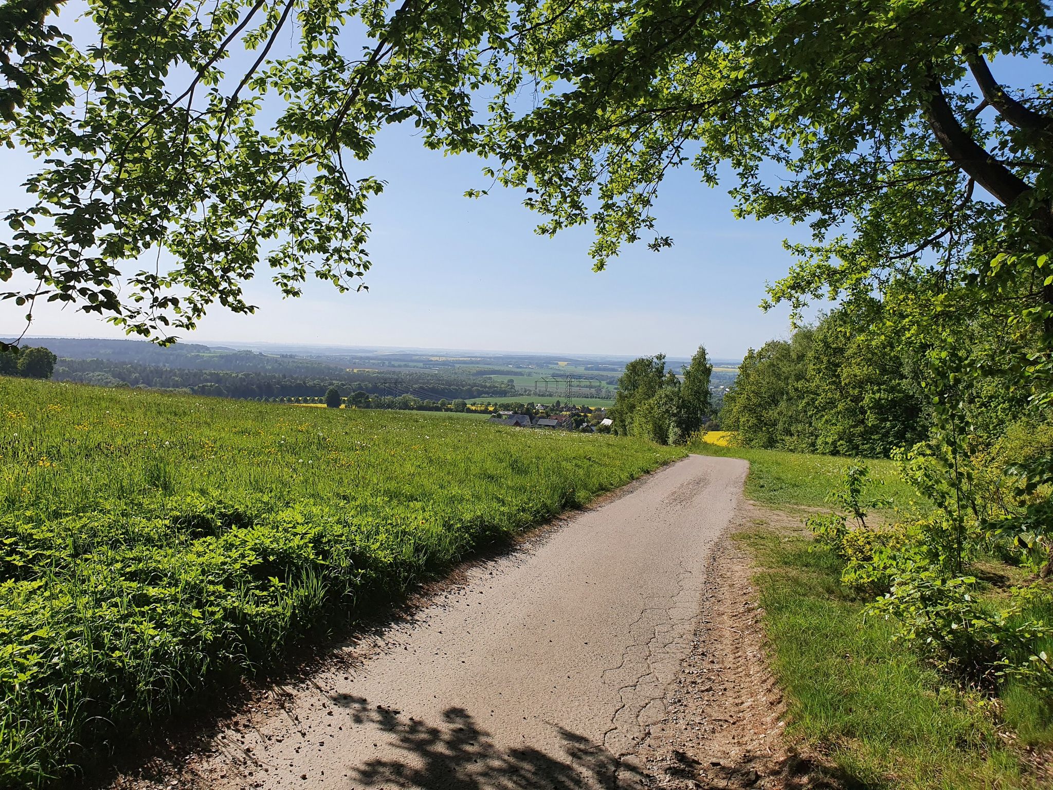 Bei Langenberg