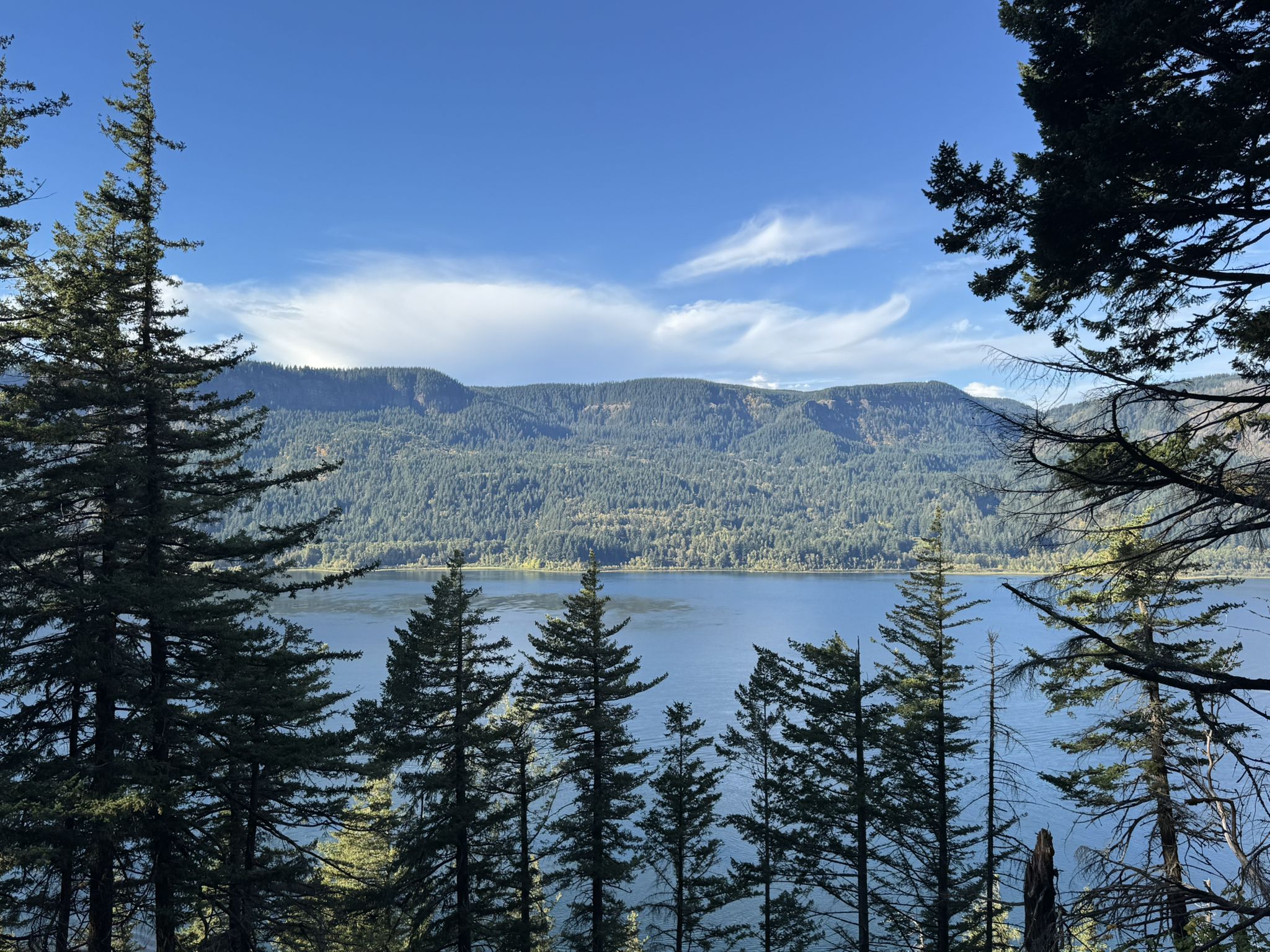 Scenic lake framed by evergreen trees, with forested mountains under a blue sky. - Angel's Rest and Devil's Rest Loop Trail