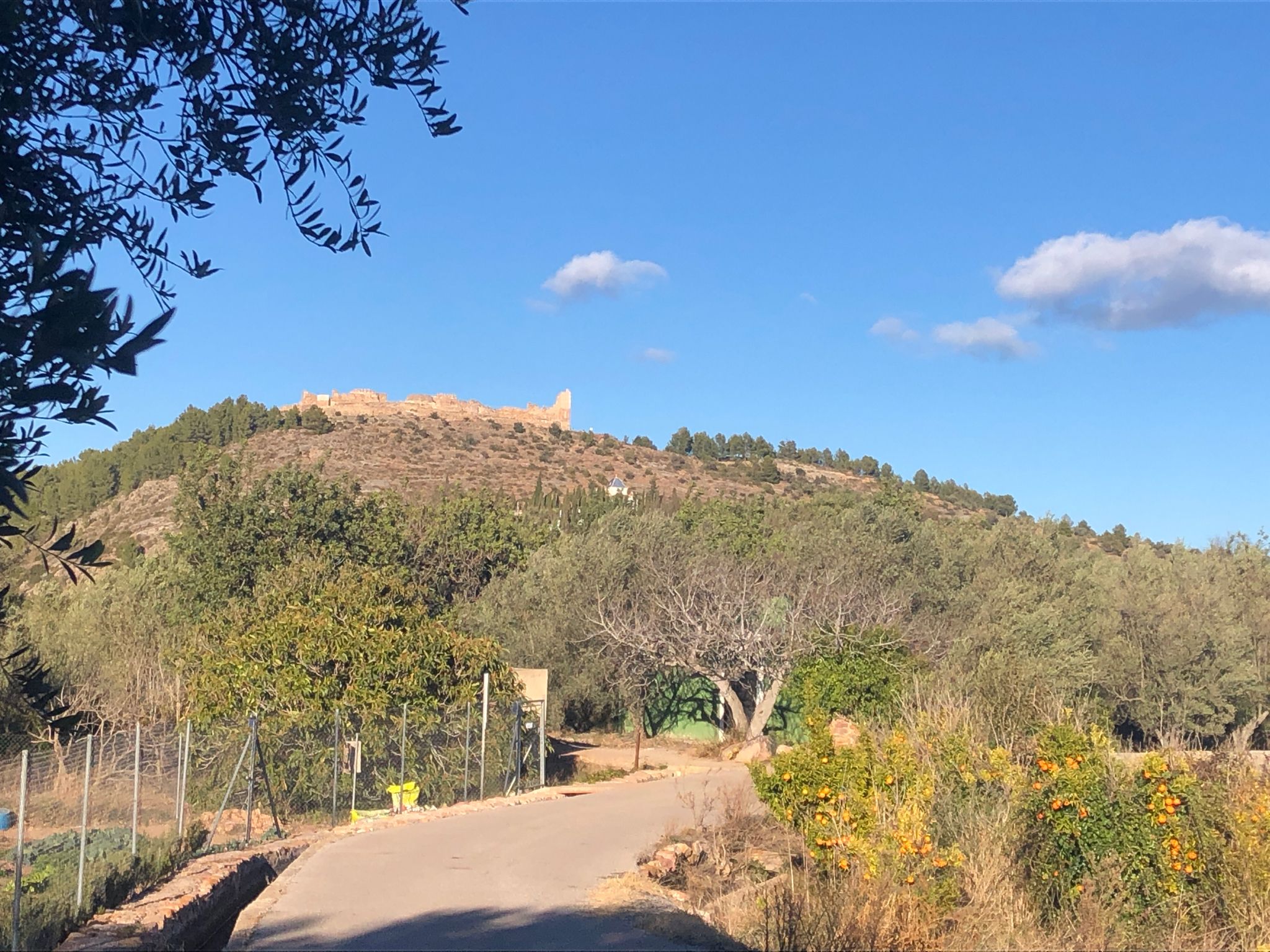 Castillo de Artana