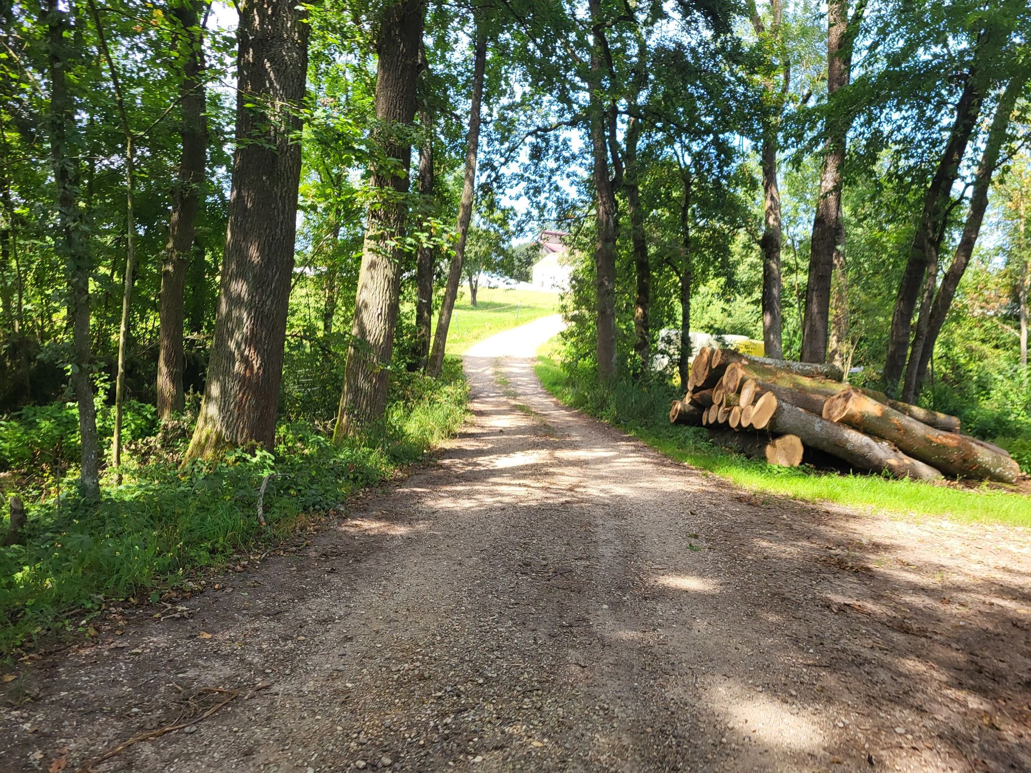 Singletrail Raschhof