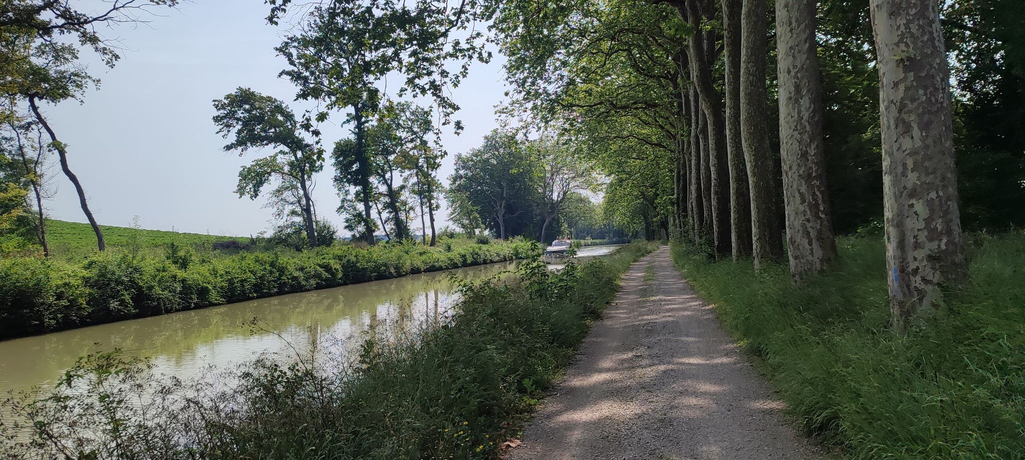 Canal du Midi