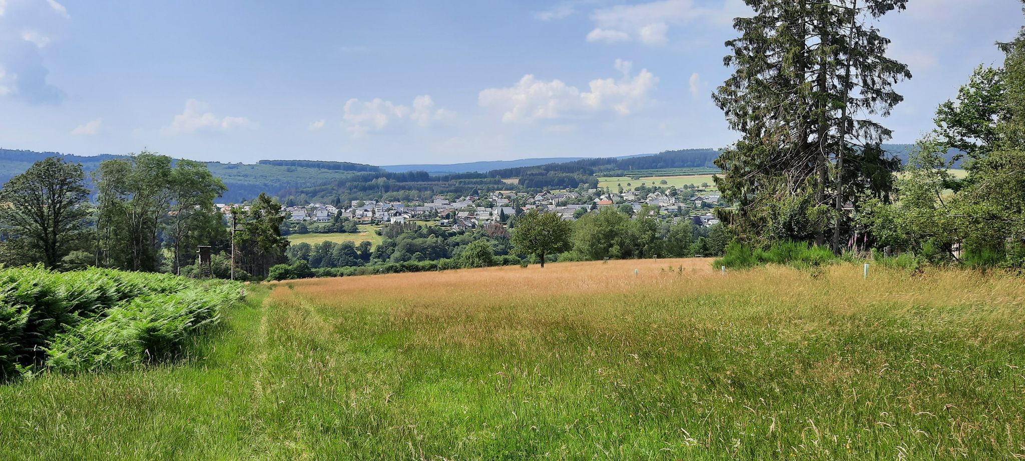 Blick auf Grimburg