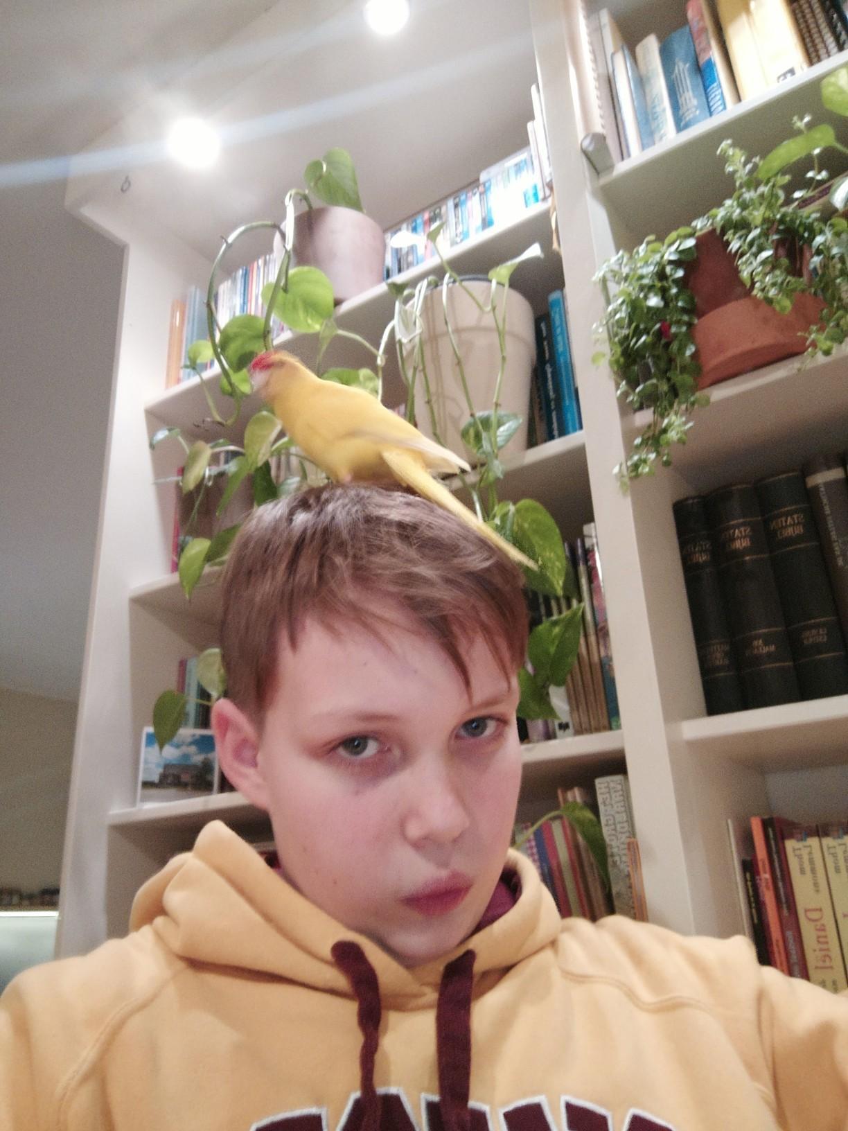 user avatar