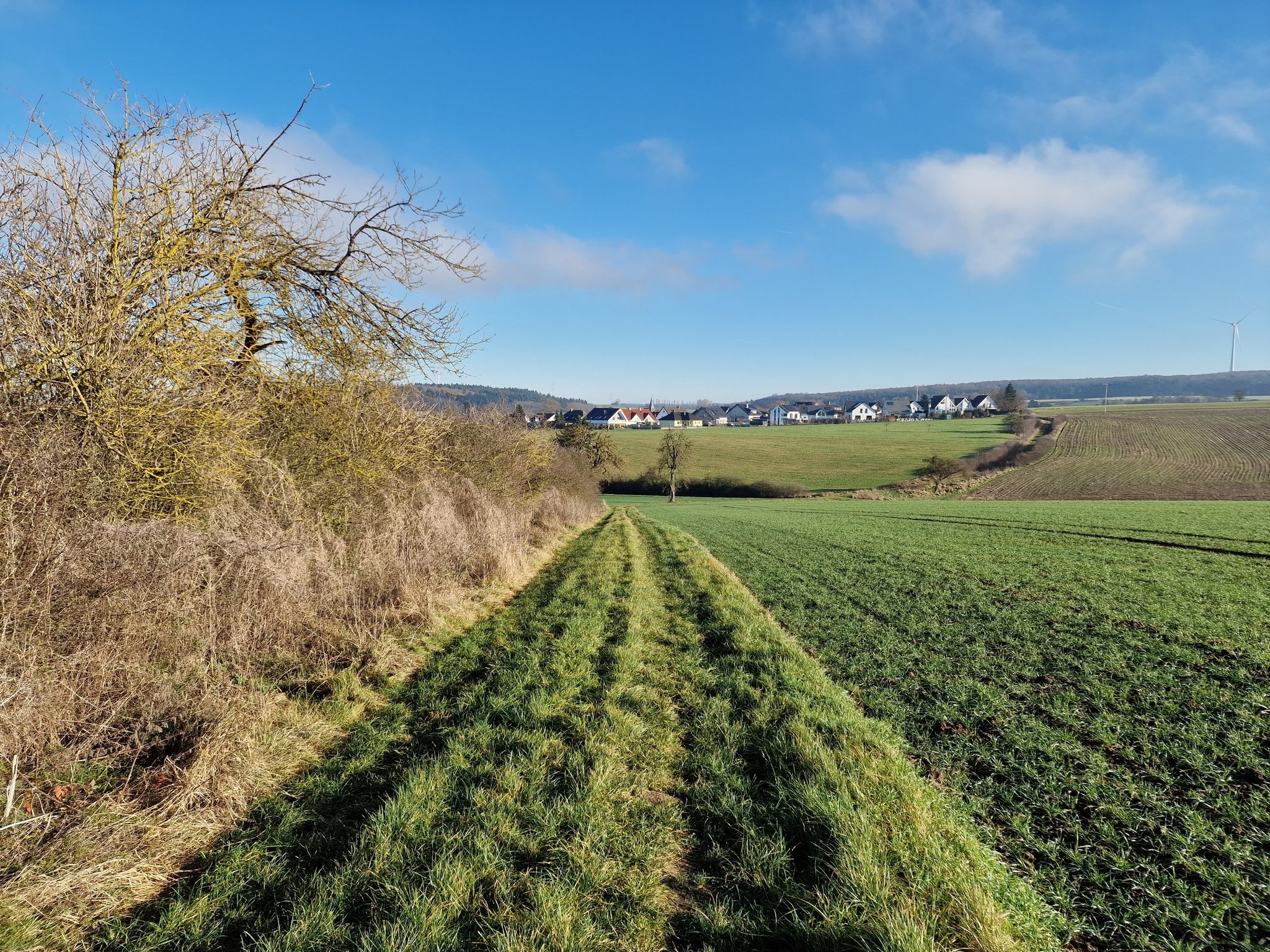nach Kaltenholzhausen