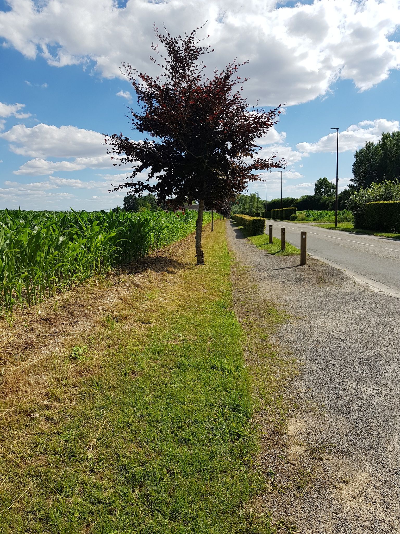 sorti Morcourt