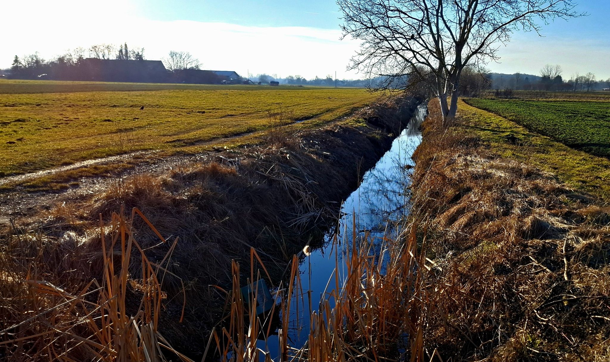 Der Höhmanngraben hat erstmals wieder Wasser, war die letzten Jahre leider versickert