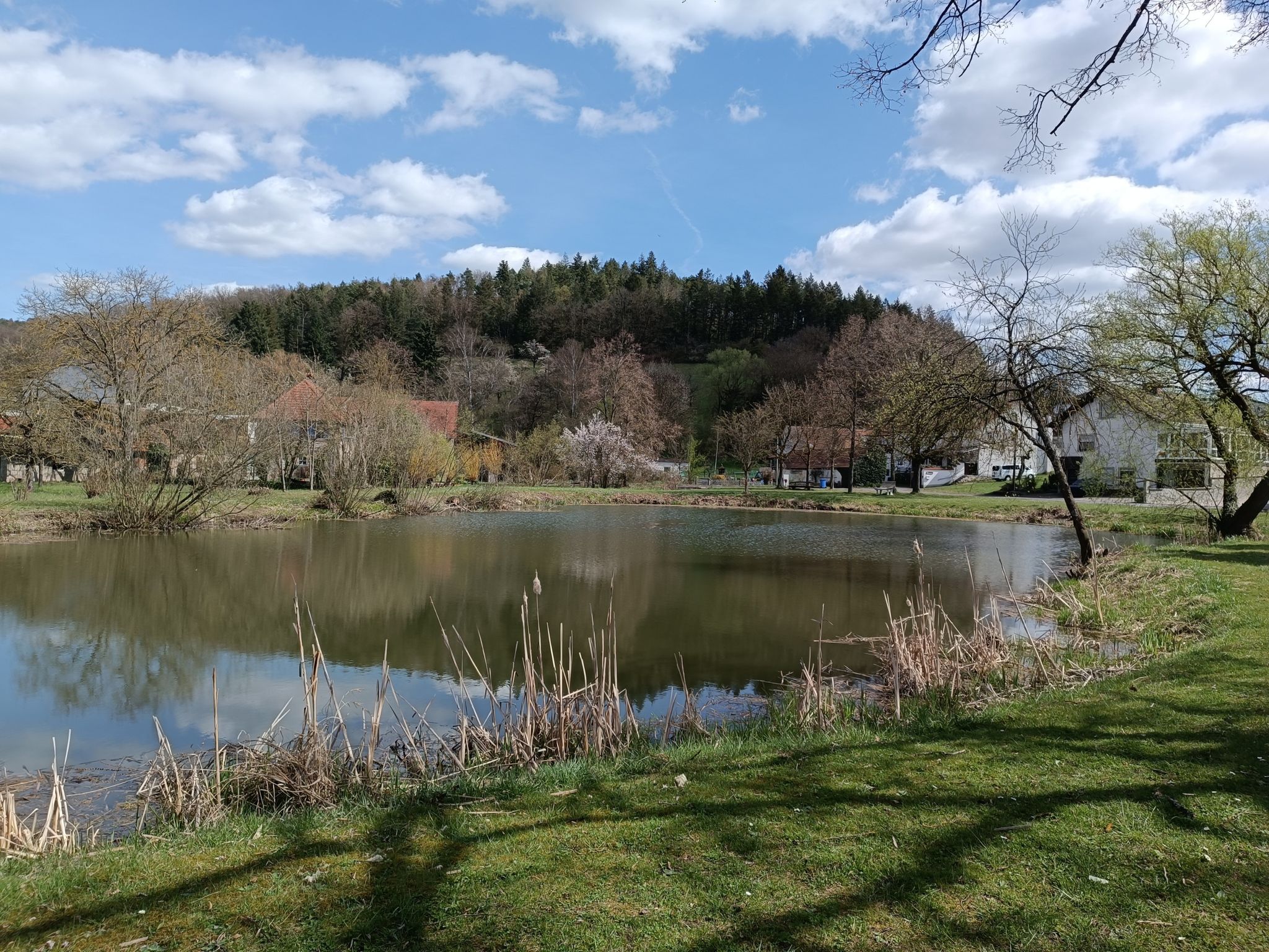 see in Stettfeld