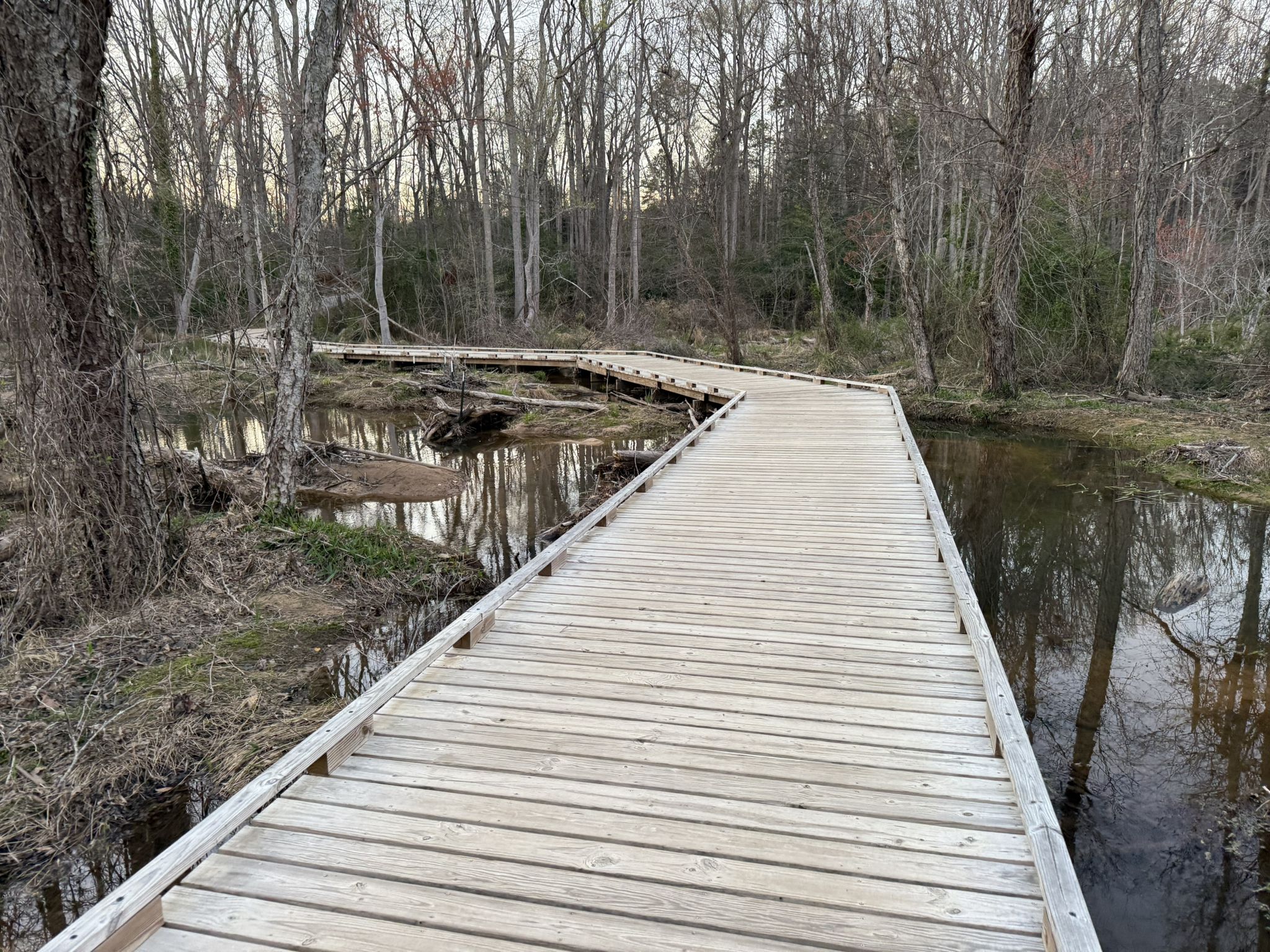 Long wooden boardwalk winding through a wetland with bare trees. - Lake Conestee Nature Park Loop