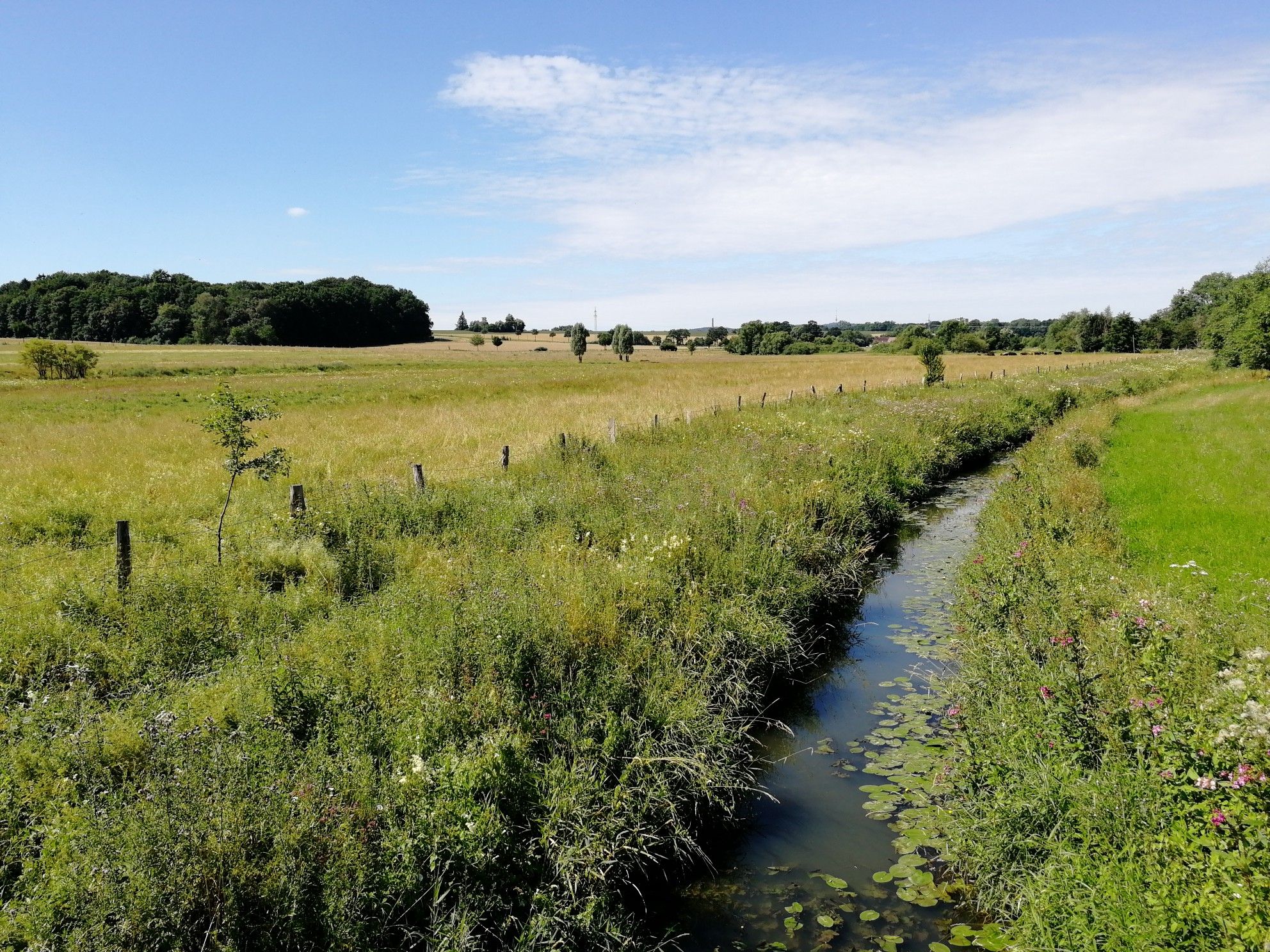 Johannesbach