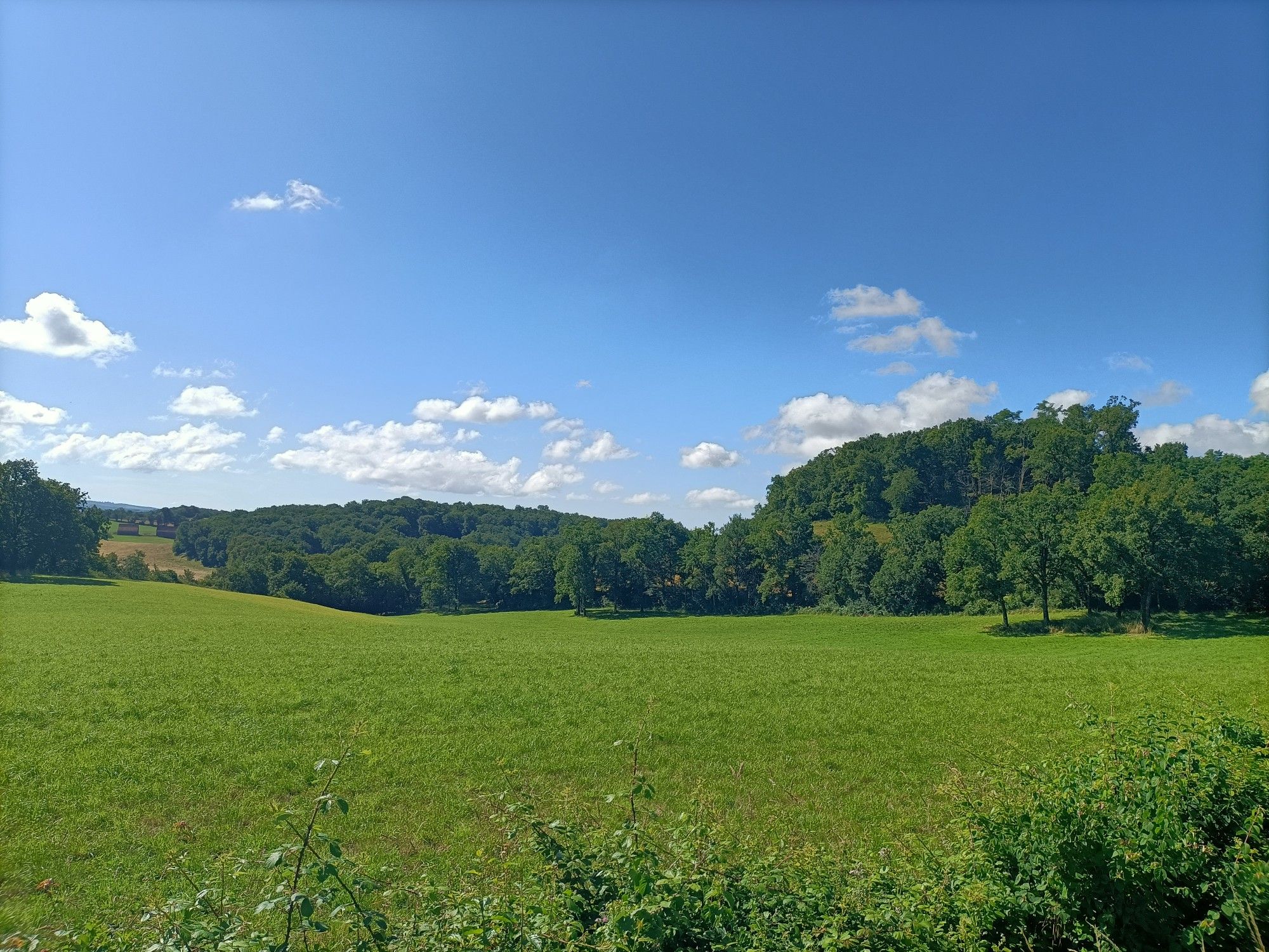 a côté de Albiac