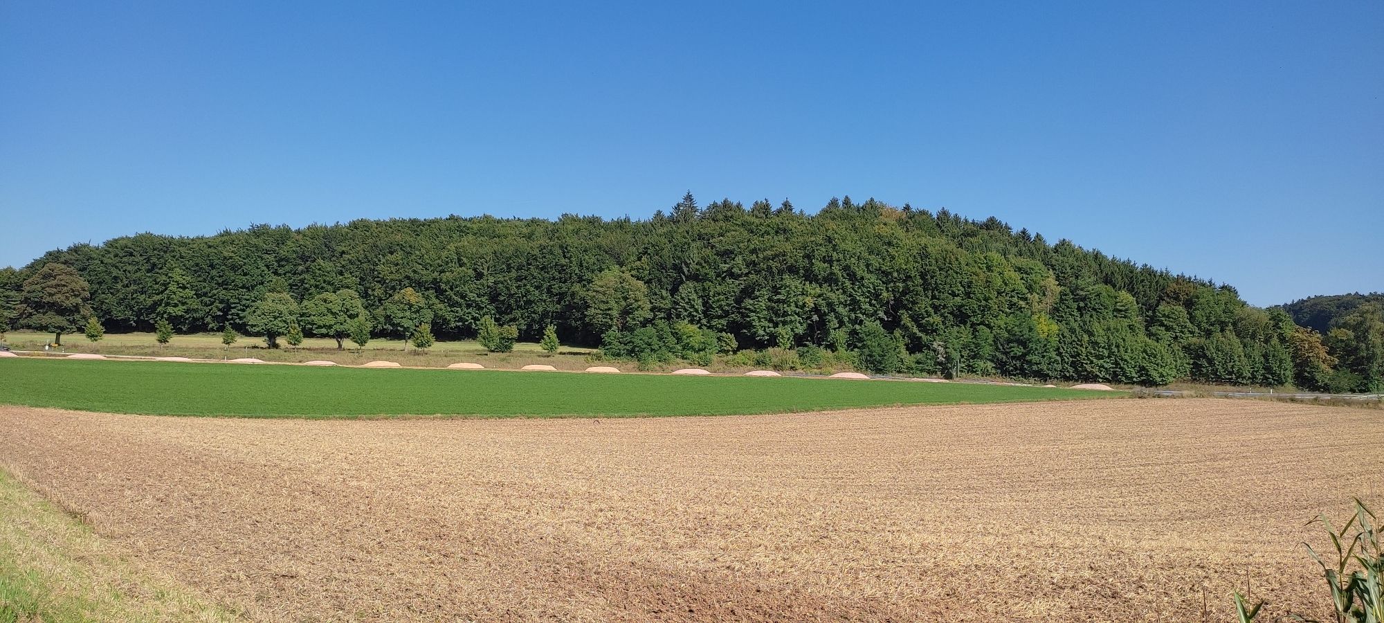 bei Tartsberg
