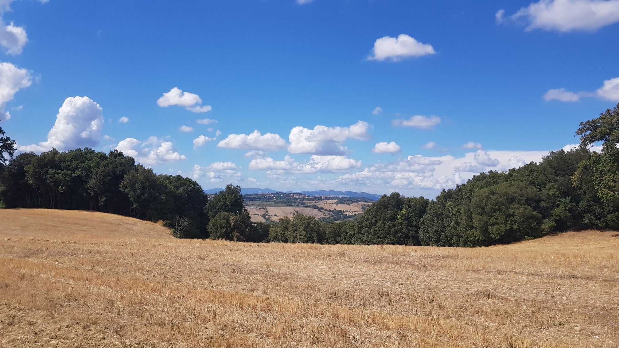 view of Pomerance