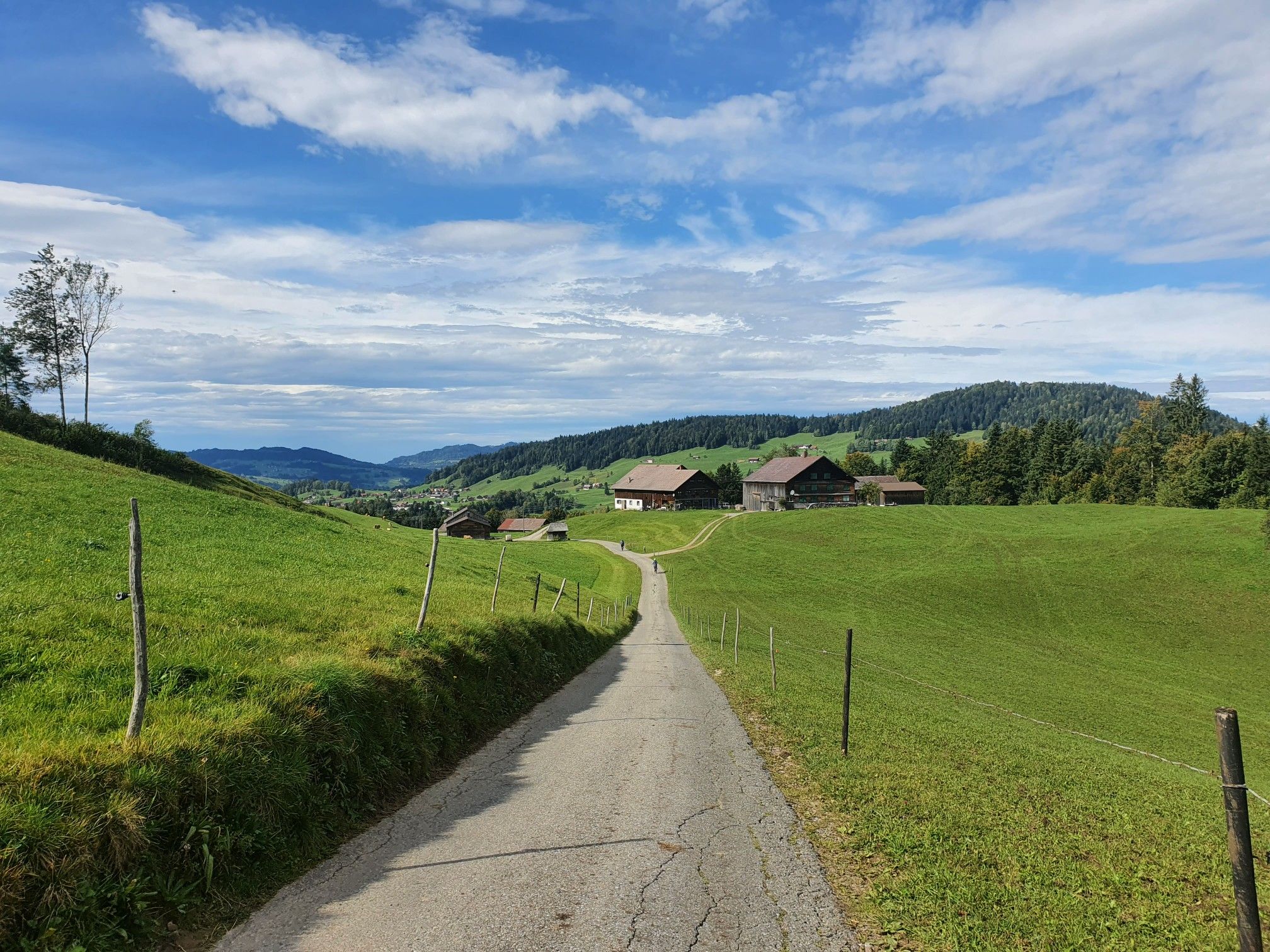 Blick nach Lingenau