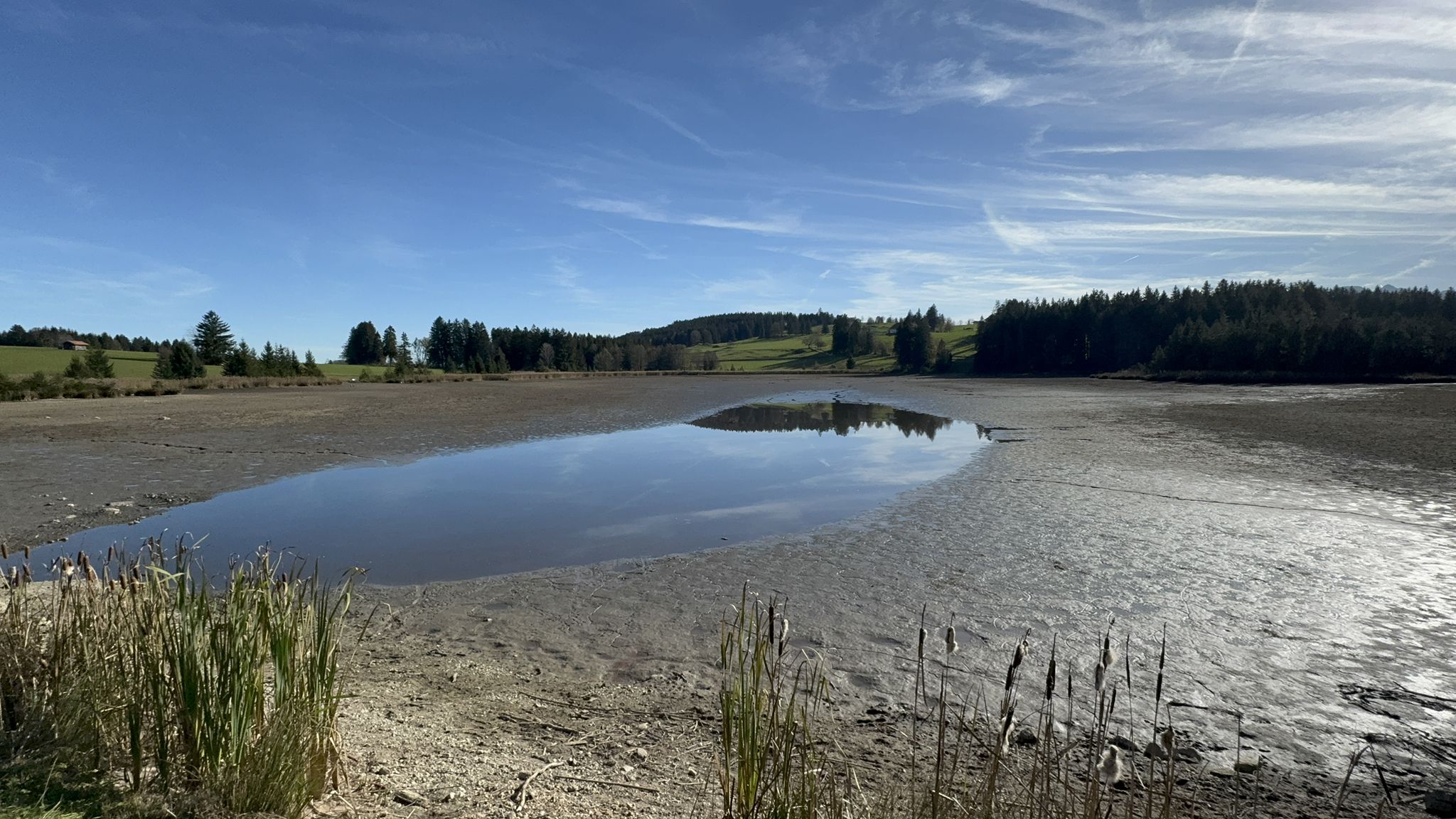 Kögelweiher