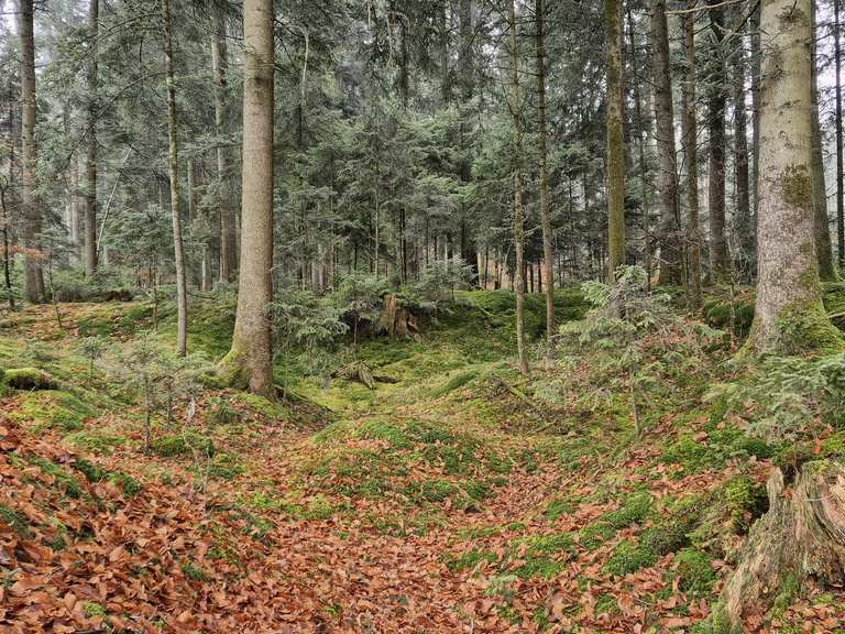 Geotop-Route Niederbayern #64: Von Preying nach Garham > 157. Geotop ...