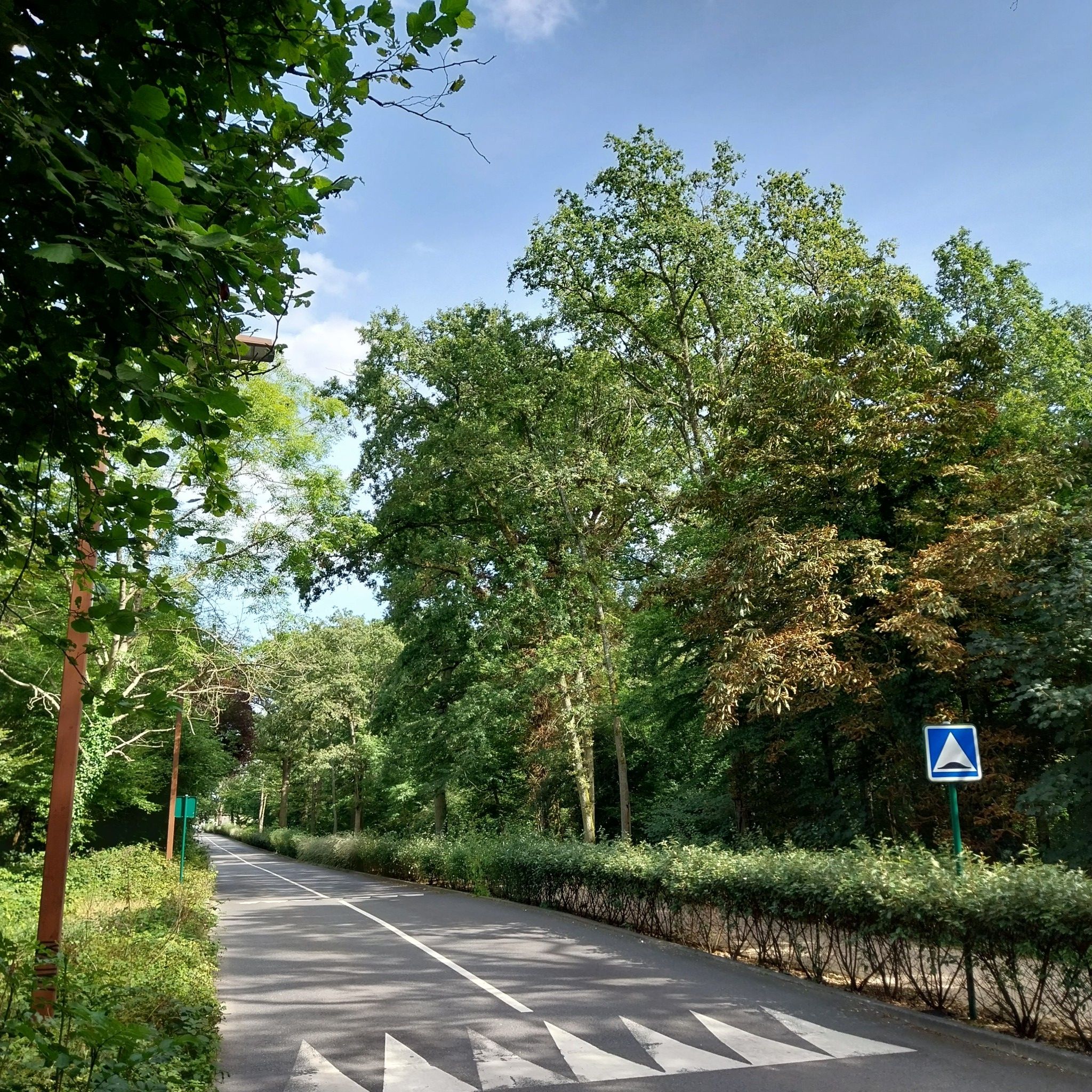 Route de Lésigny
