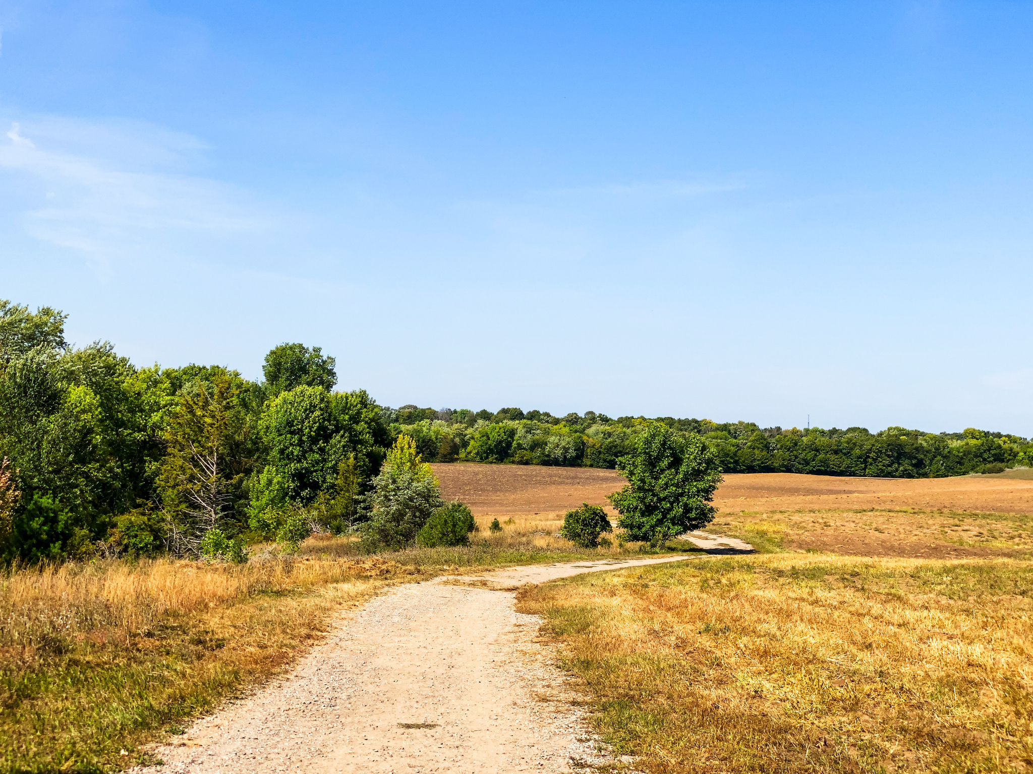 A dirt path winds through dry fields towards distant green trees under a clear sky. - Anoka Nature Preserve Perimeter Loop