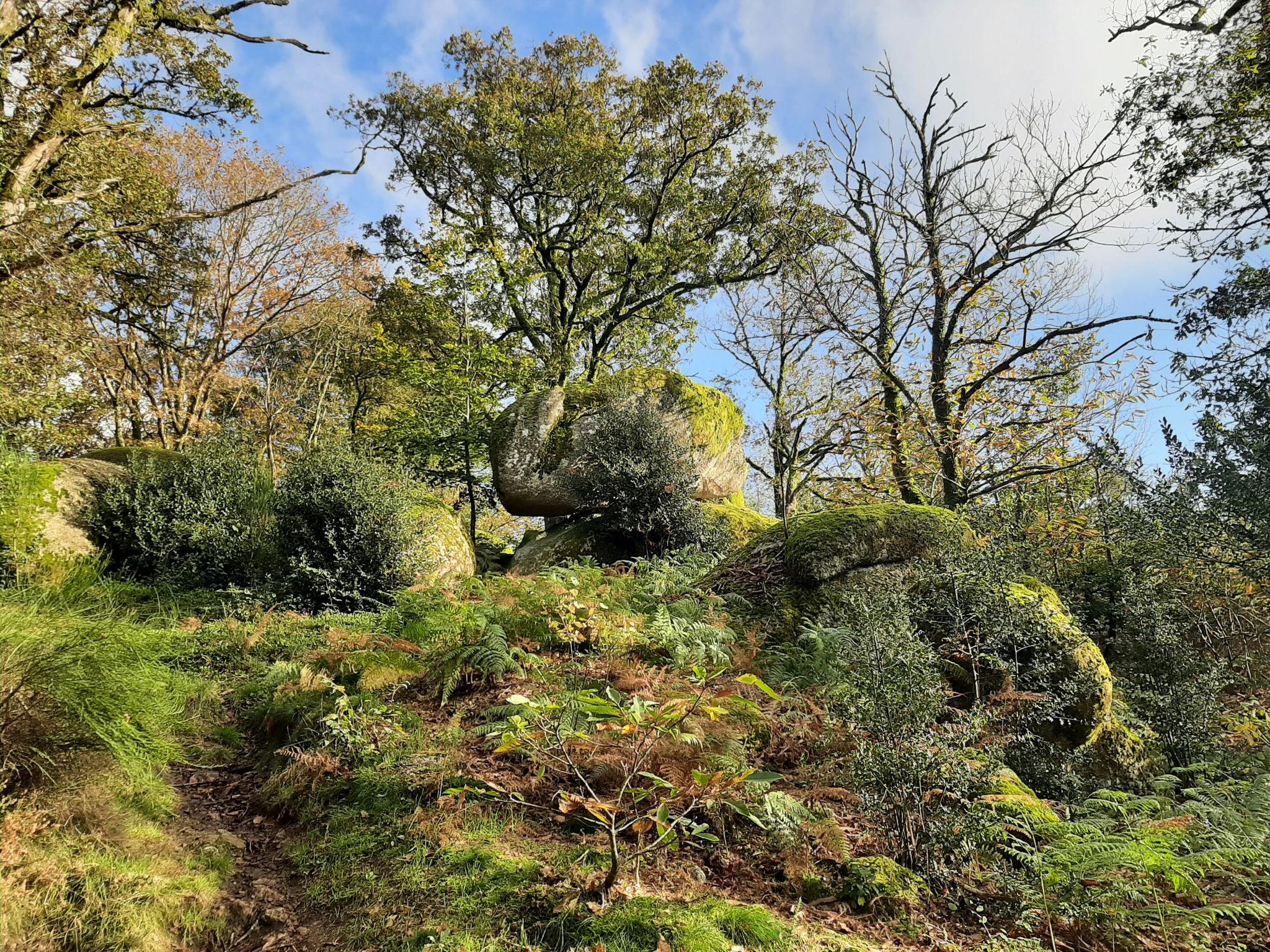 Rocher de Puychaud