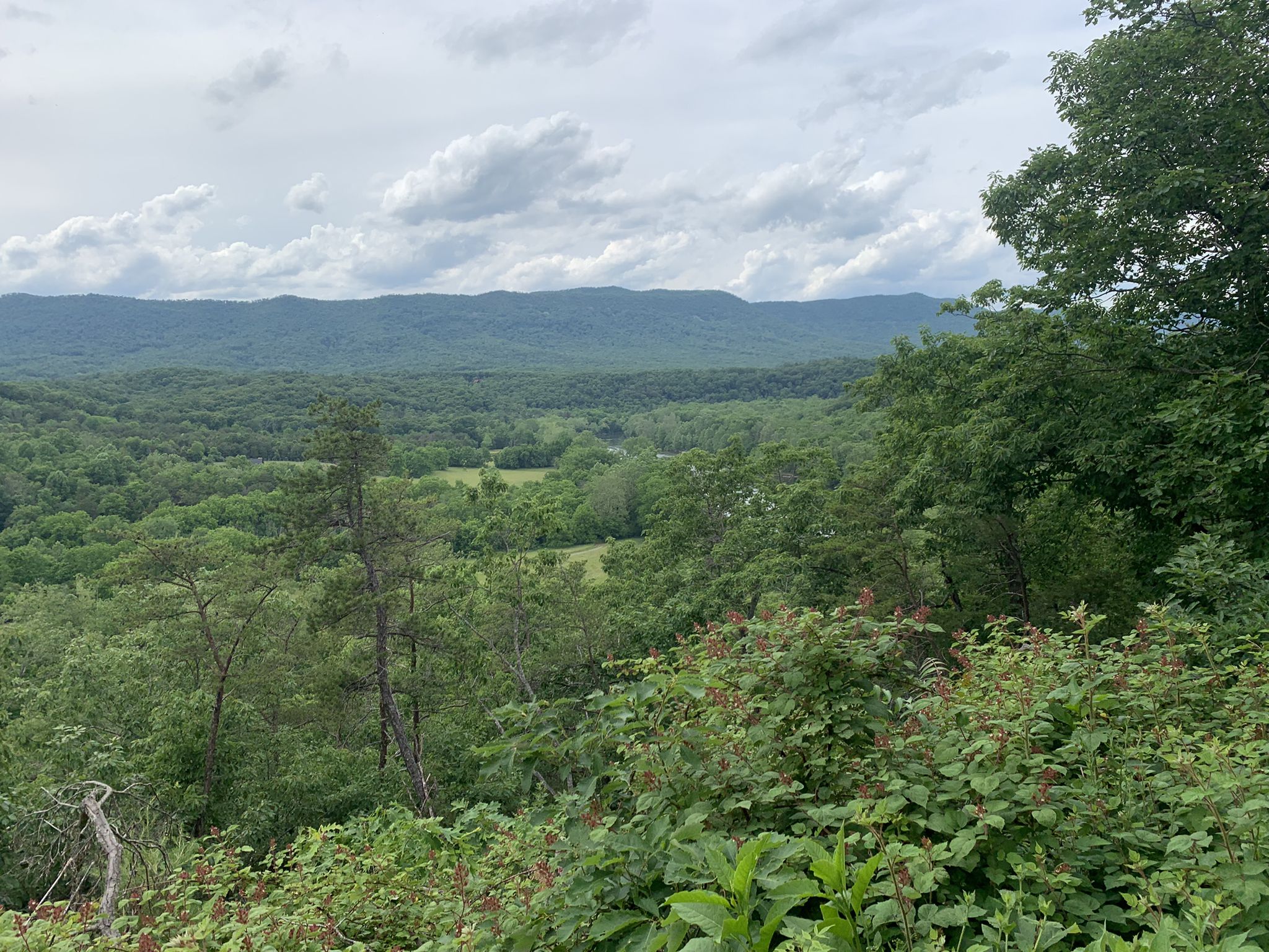 Lush green forested mountains and valley under a cloudy sky. - Shenandoah River State Park – Allens Mountain loop from Raymond R. "Andy" Guest, Jr. Shenandoah River State Park
